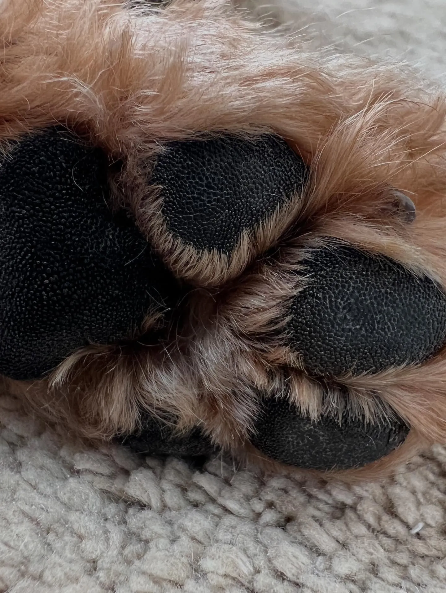 仙台もすっかり秋から冬モード🍁❄ 冷え込みが厳しくなるこの季...
