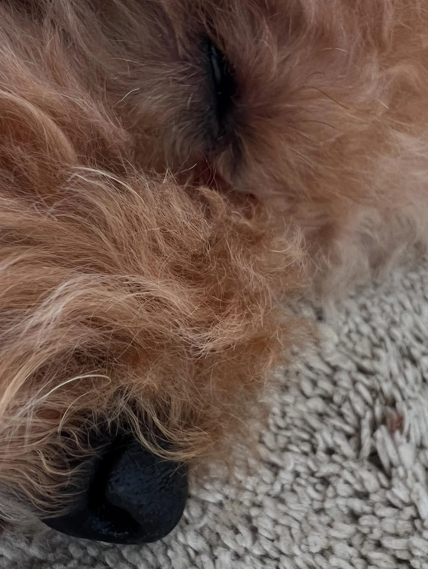 仙台もすっかり秋から冬モード🍁❄ 冷え込みが厳しくなるこの季...