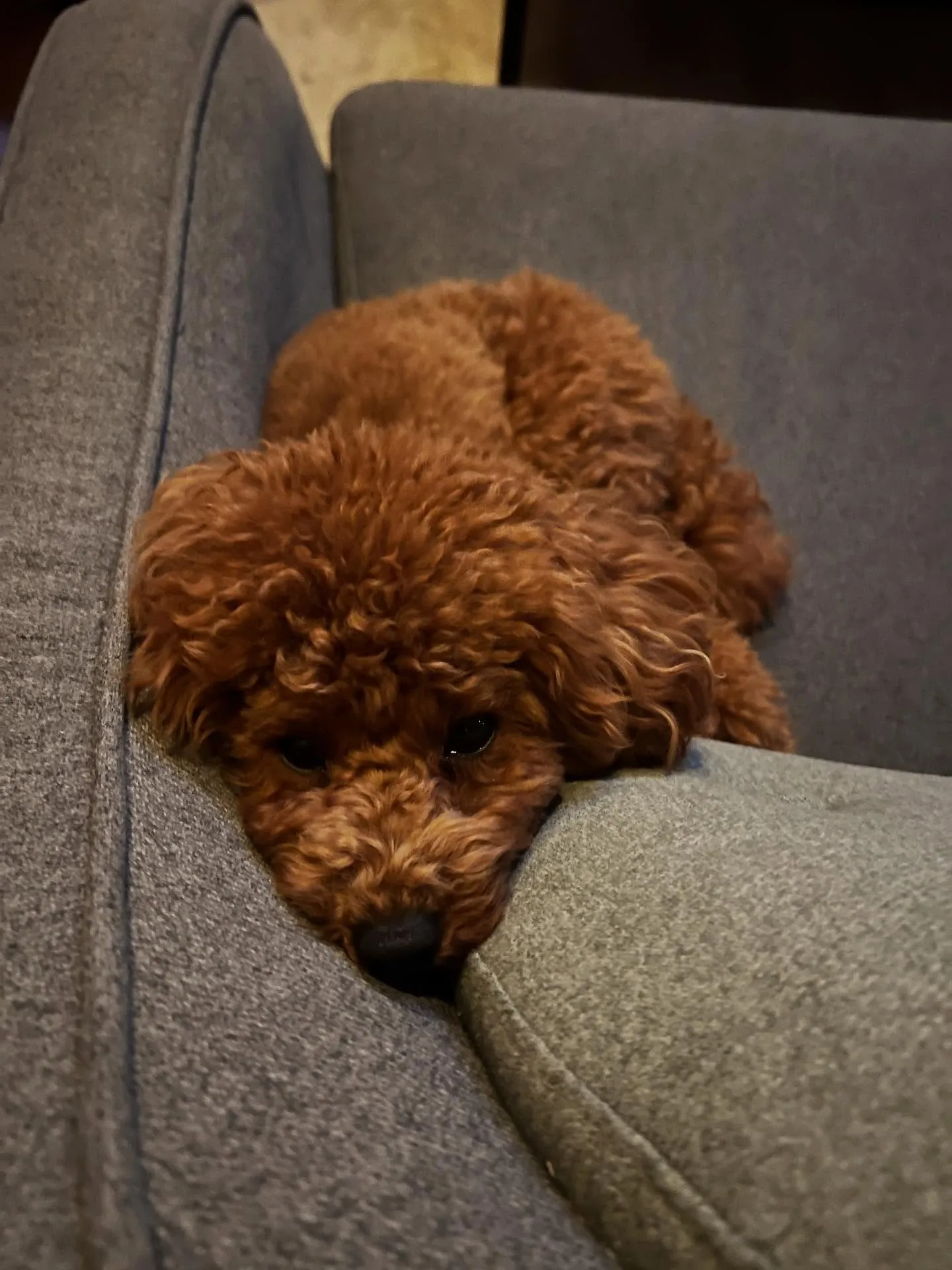 仙台でエアコンの修理と点検なら、私たちにお任せください❄️🌬...