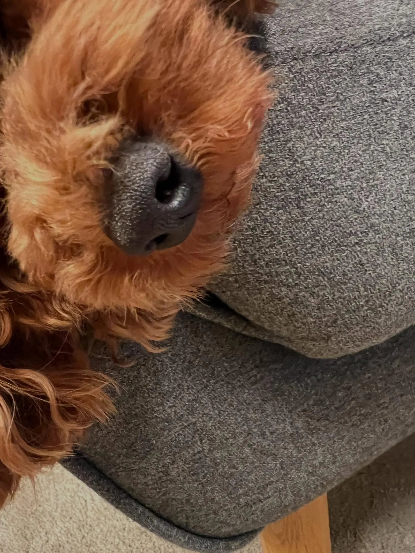 仙台でエアコンの修理と点検なら、私たちにお任せください❄️🌬...