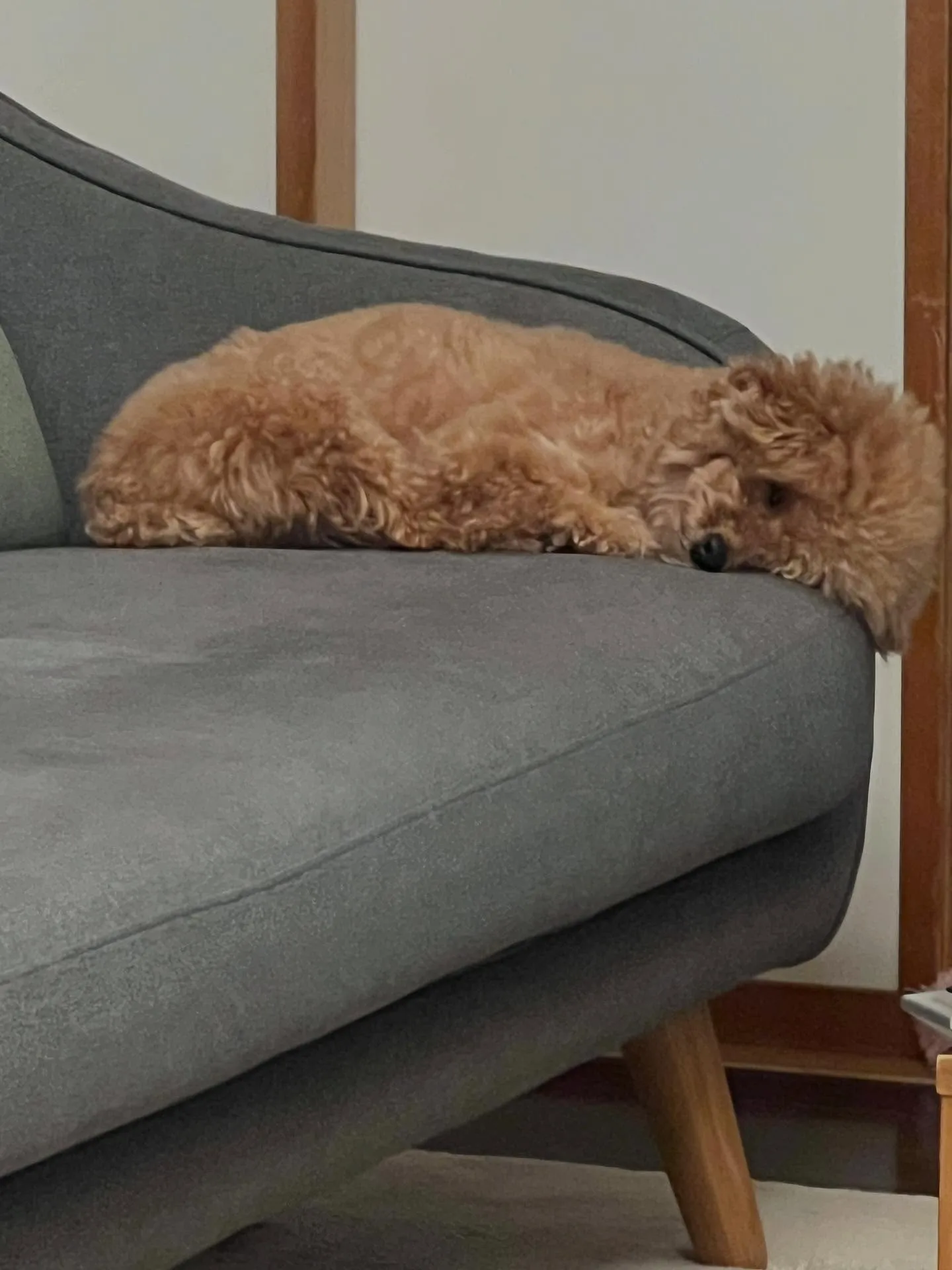 仙台でエアコンの修理と点検なら、私たちにお任せください❄️🌬...