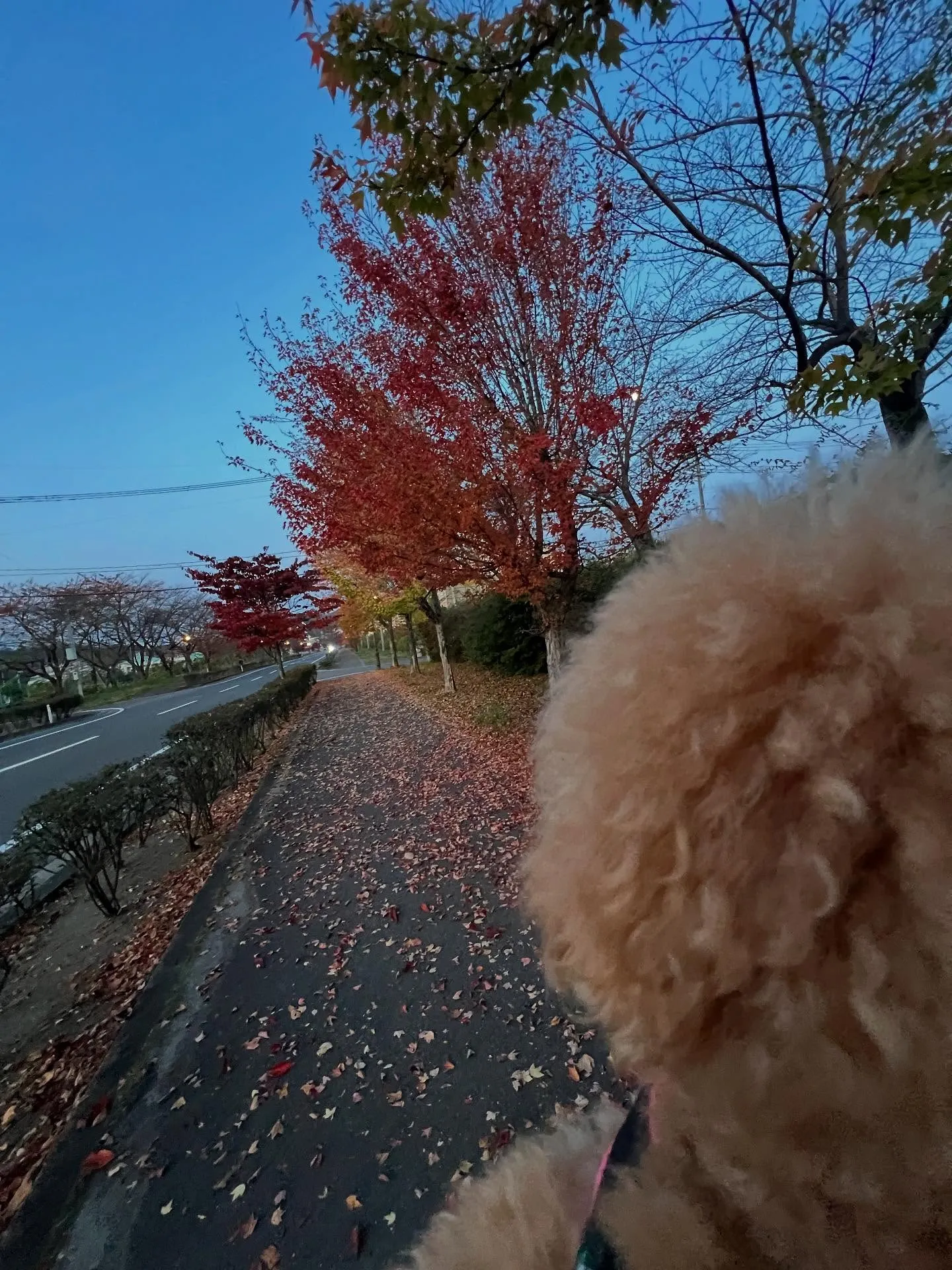 仙台で業務用エアコン🔧の更新工事や点検、修理をお考えの皆さん...