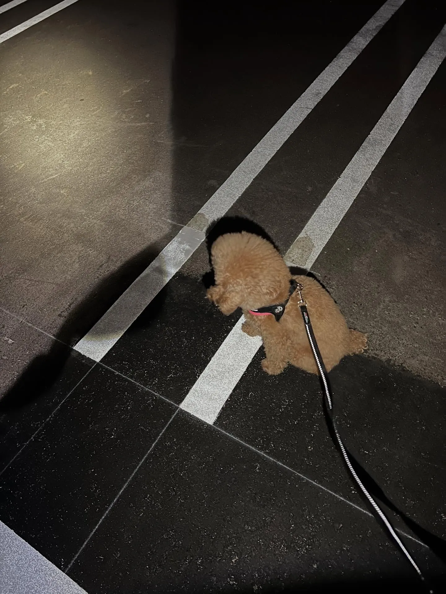 仙台で業務用エアコンの更新工事なら、私たちにお任せください✨...