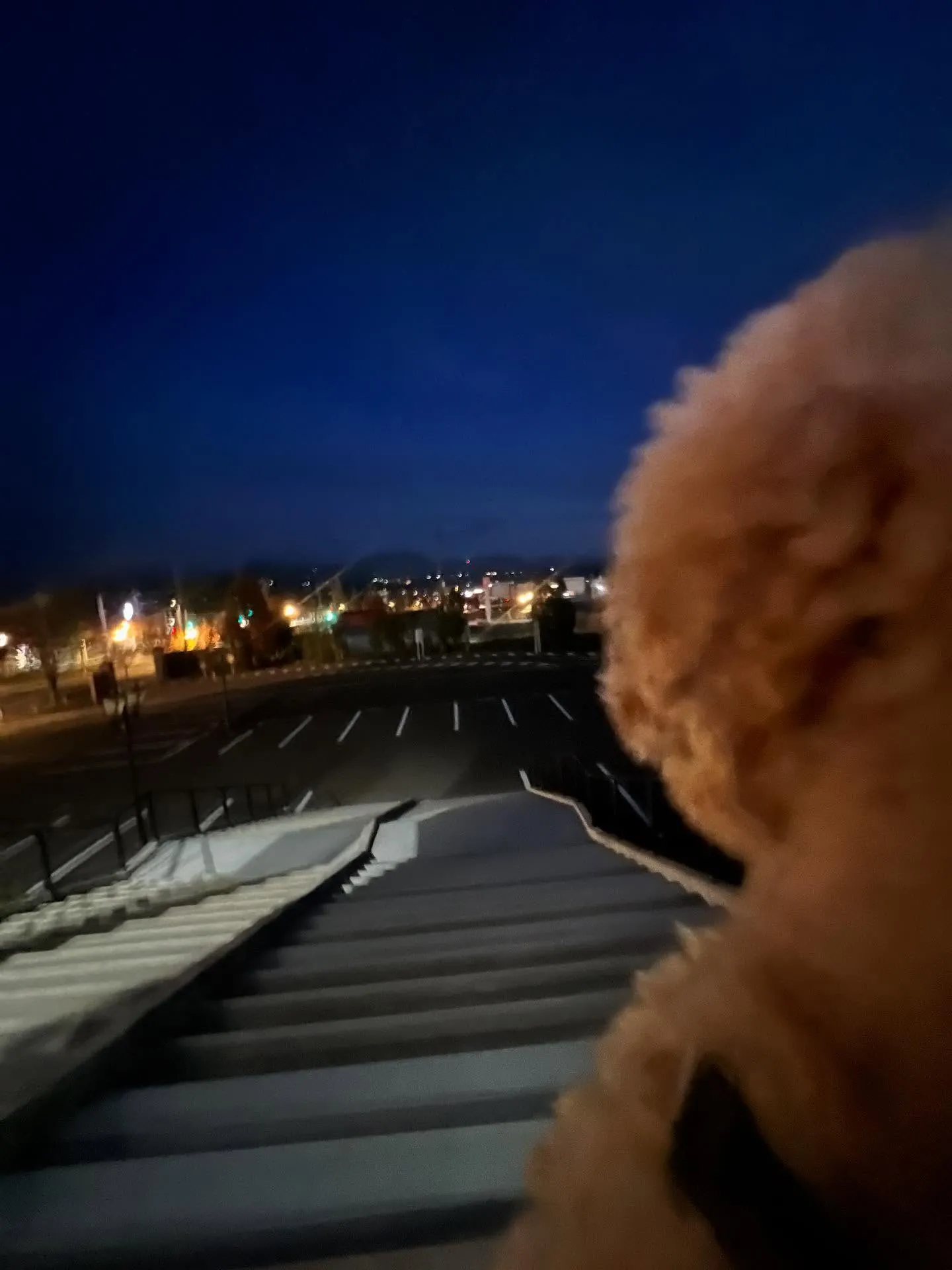 🌟仙台で笑顔あふれる快適生活を！🌿 皆さん、毎日どこで過ごし...