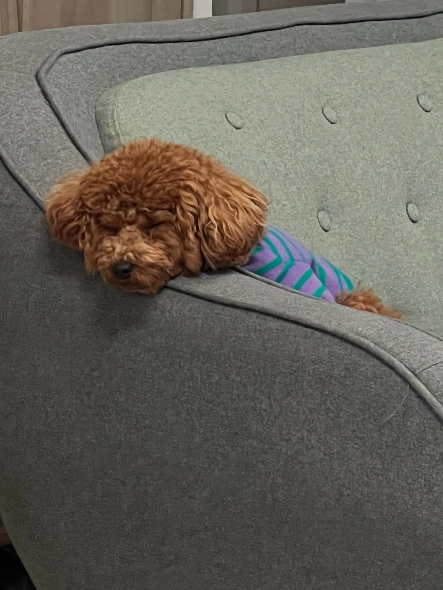 🌟仙台で笑顔あふれる快適生活を！🌿 皆さん、毎日どこで過ごし...