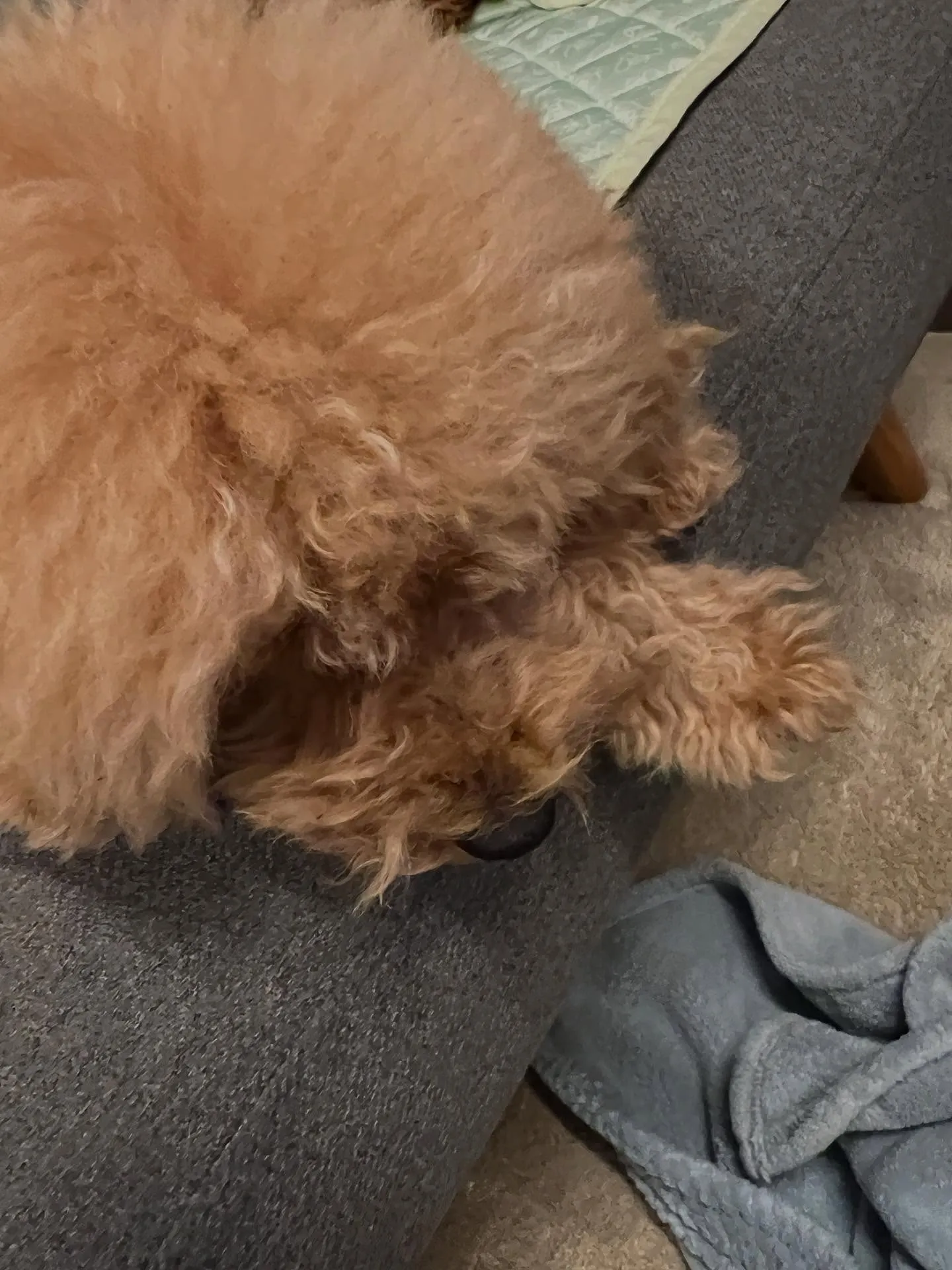 仙台を拠点に、宮城県全域で業務用エアコンの更新工事を得意とす...