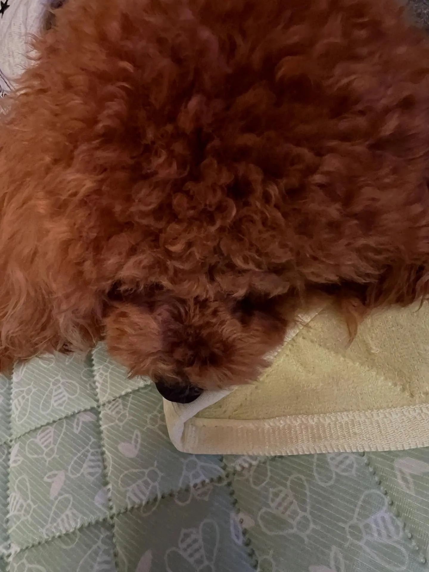 仙台を拠点に、宮城県全域で業務用エアコンの更新工事を得意とす...