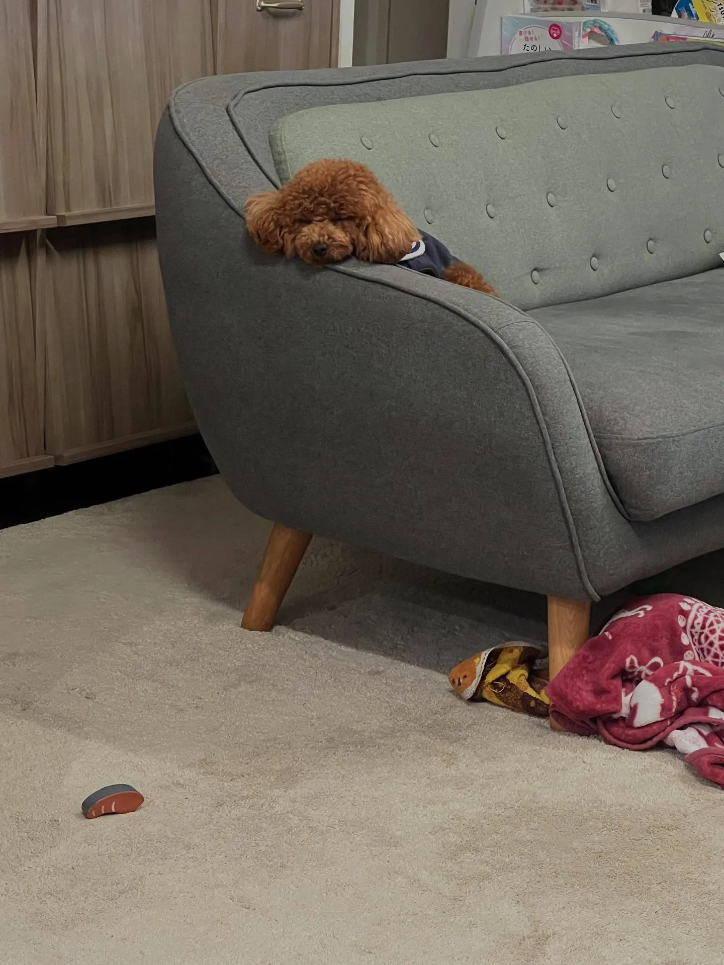 宮城県でエアコンの更新工事をお考えですか?プロにお任せくださ...