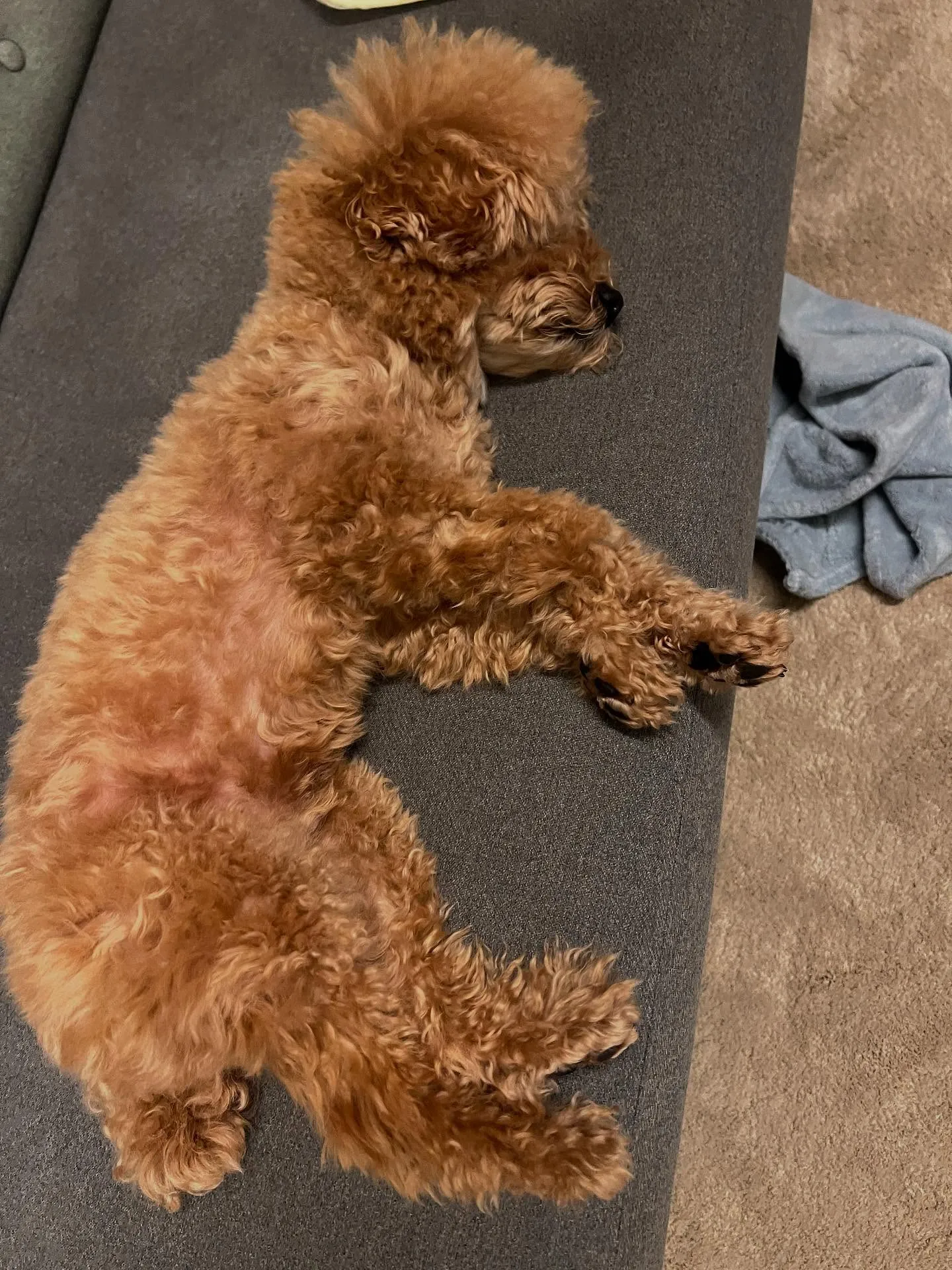 宮城県でエアコンの更新工事をお考えですか?プロにお任せくださ...