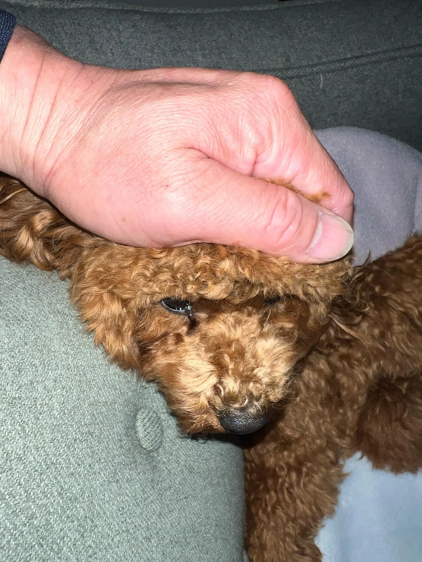 こんにちは、みなさん!仙台でエアコン更新工事がとってもHOT...