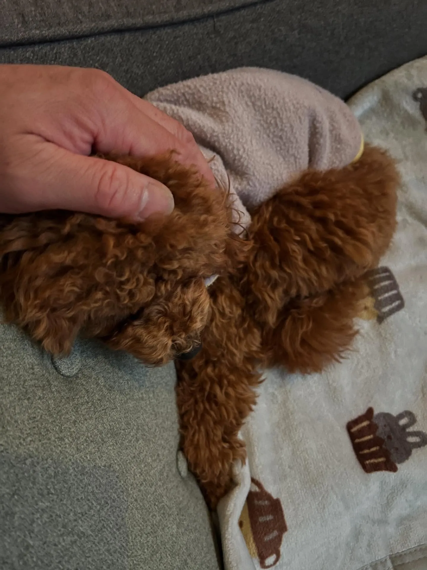 こんにちは、みなさん!仙台でエアコン更新工事がとってもHOT...