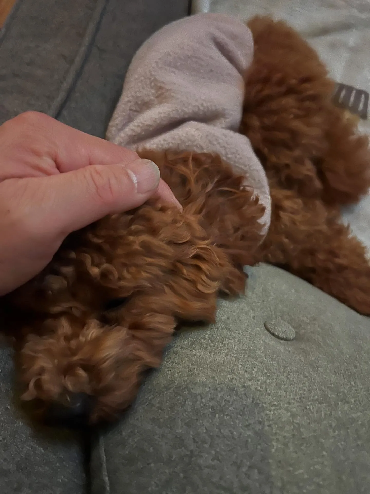 こんにちは、みなさん!仙台でエアコン更新工事がとってもHOT...