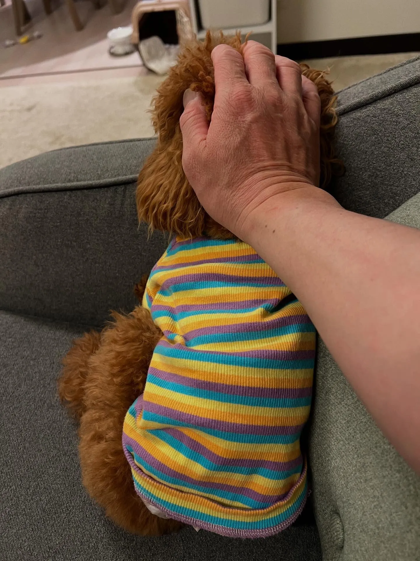 宮城県仙台市からエアコンのお仕事を学びたい方へ!現役のエアコ...