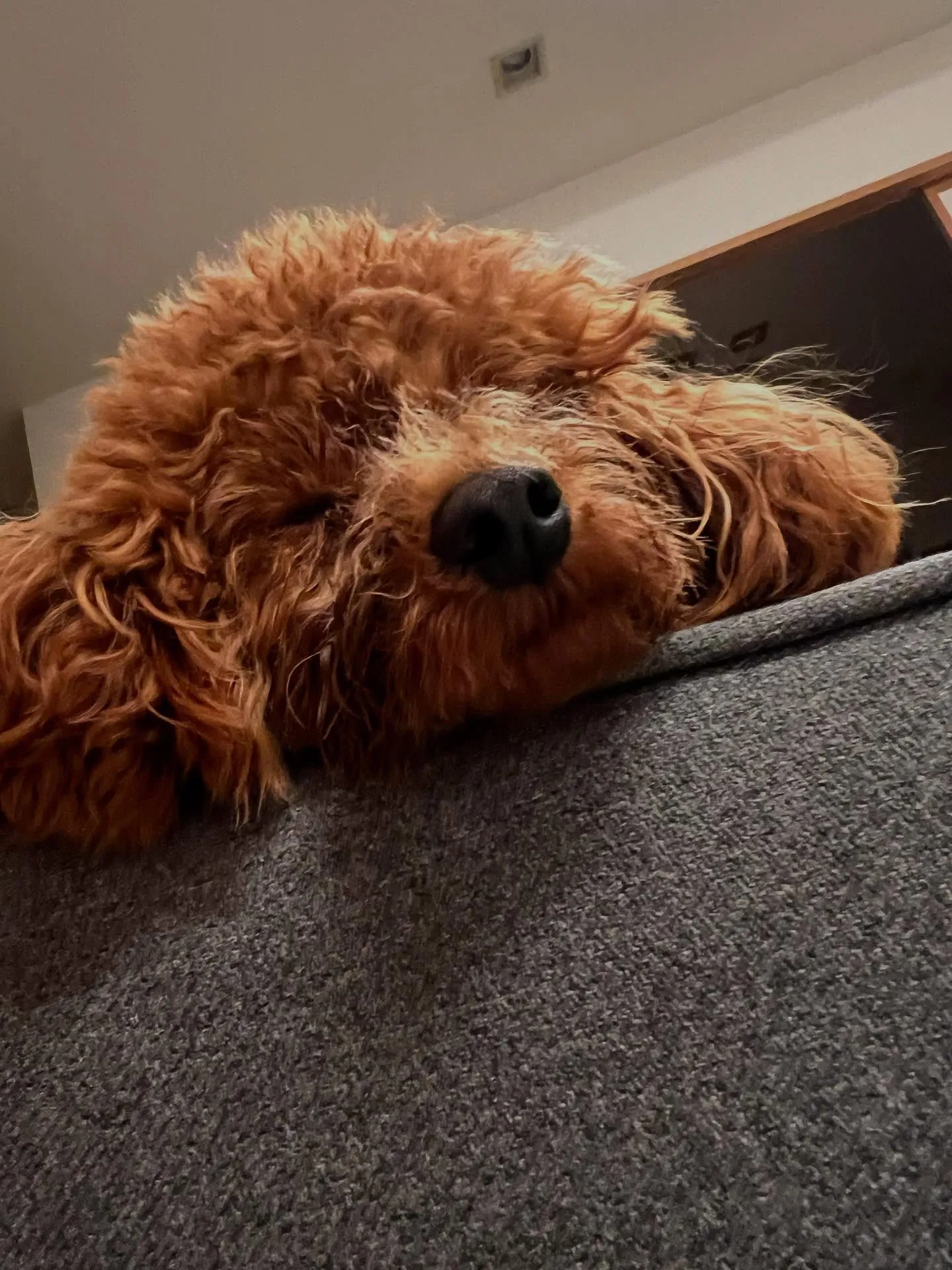 宮城県仙台市からエアコンのお仕事を学びたい方へ!現役のエアコ...