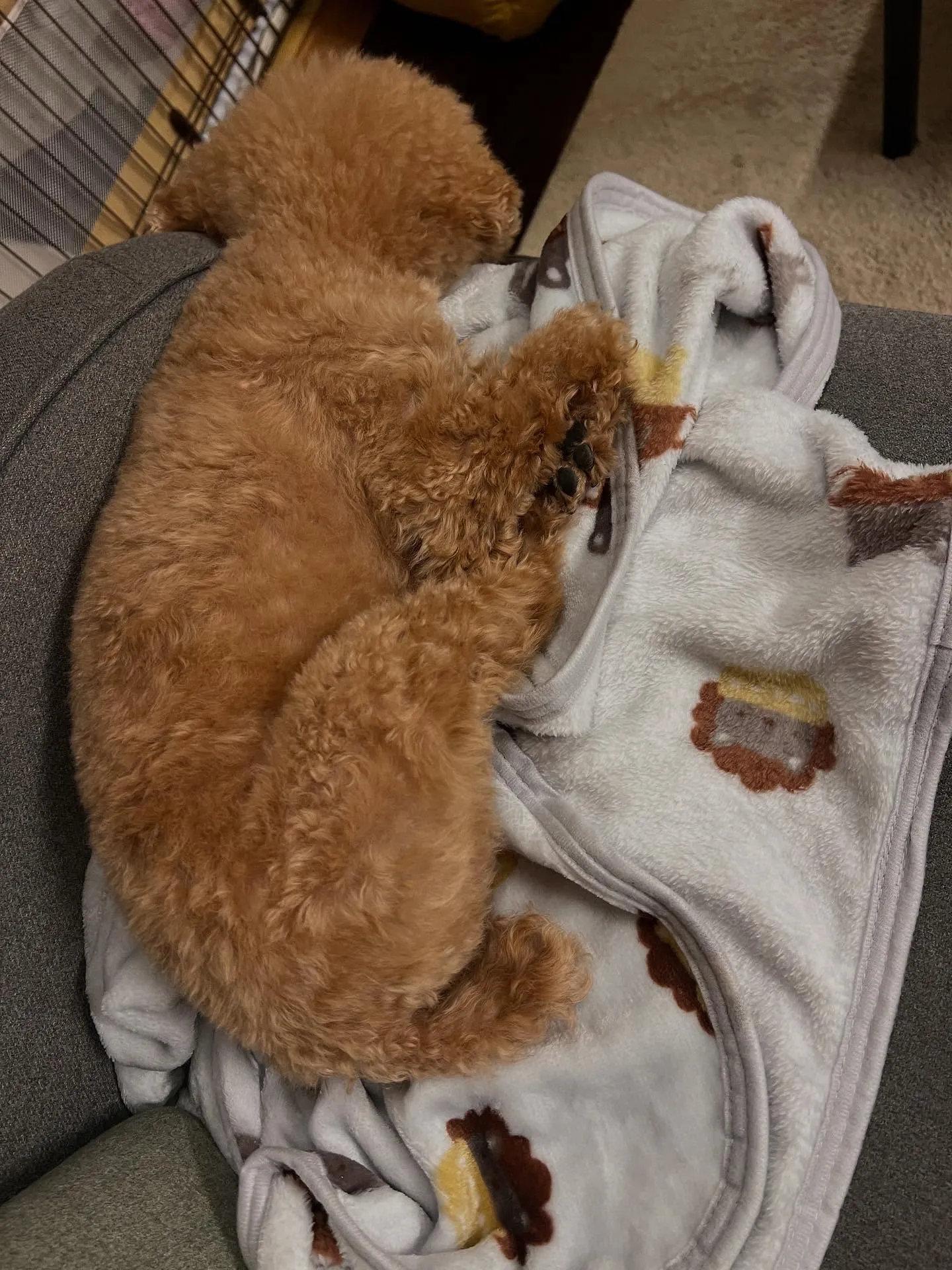 宮城県仙台市からエアコンのお仕事を学びたい方へ!現役のエアコ...