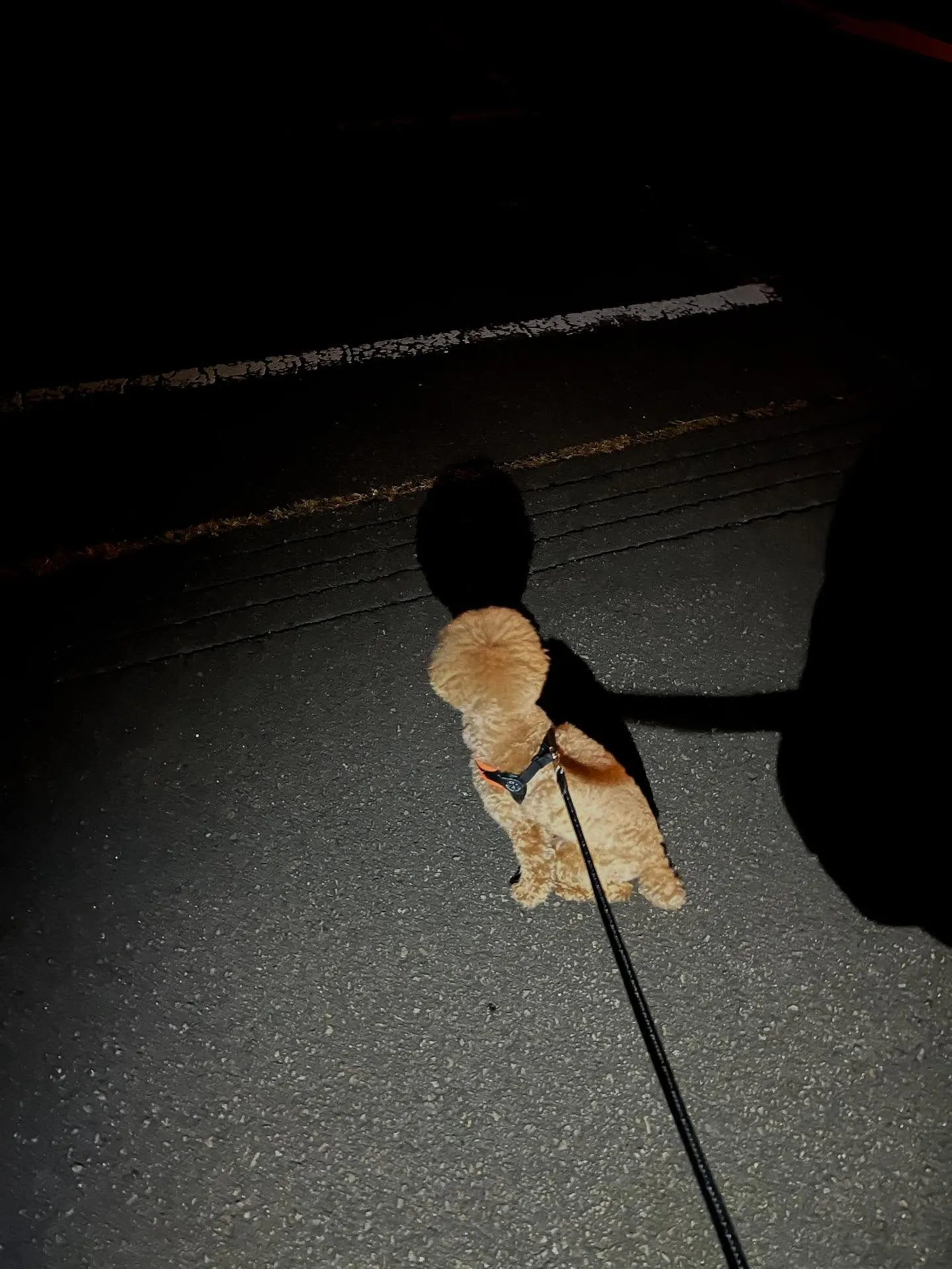 仙台市でエアコン職人になる道、始めてみませんか？暑い夏も寒い...