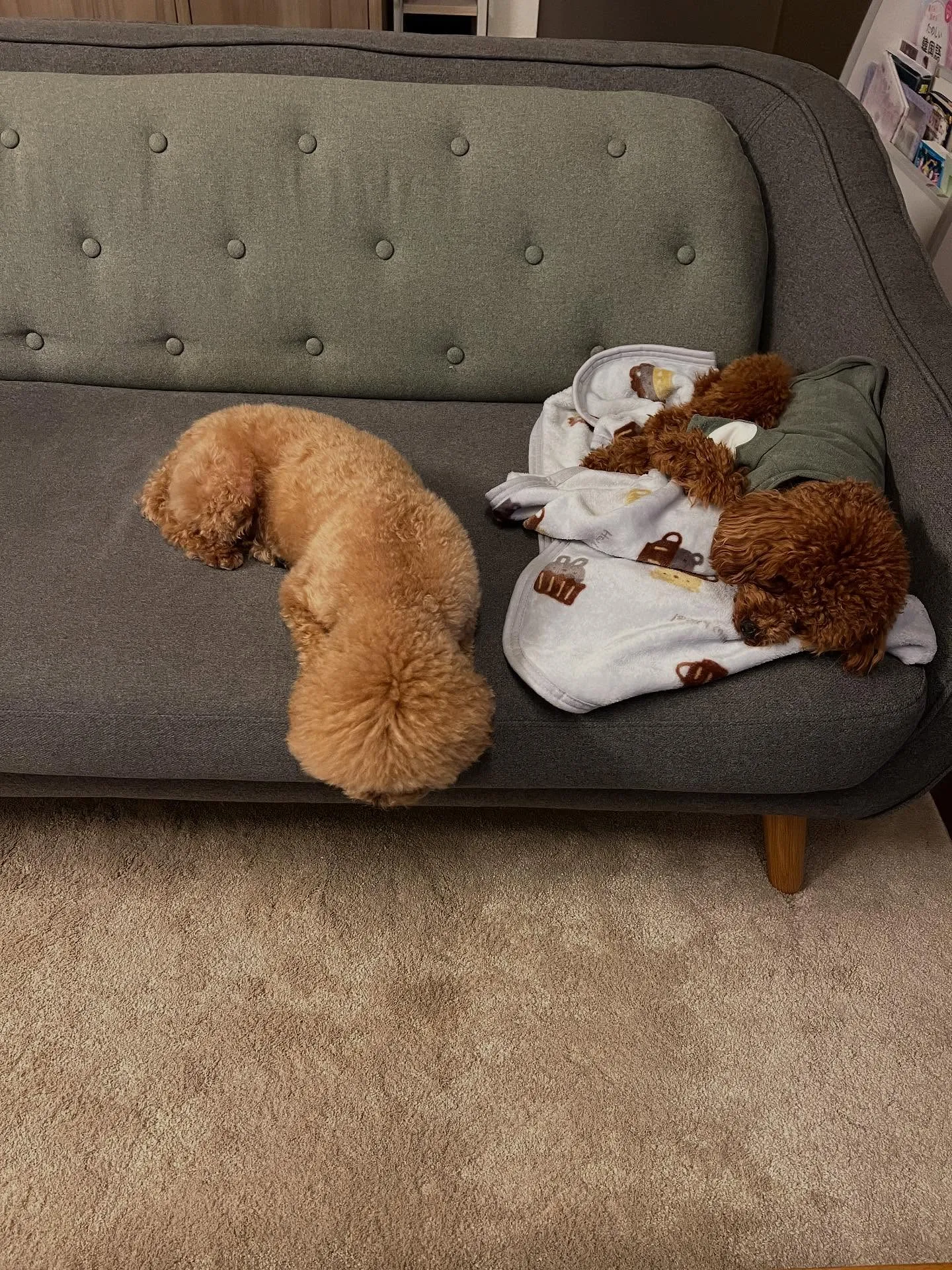 仙台市でエアコン職人になる道、始めてみませんか？暑い夏も寒い...