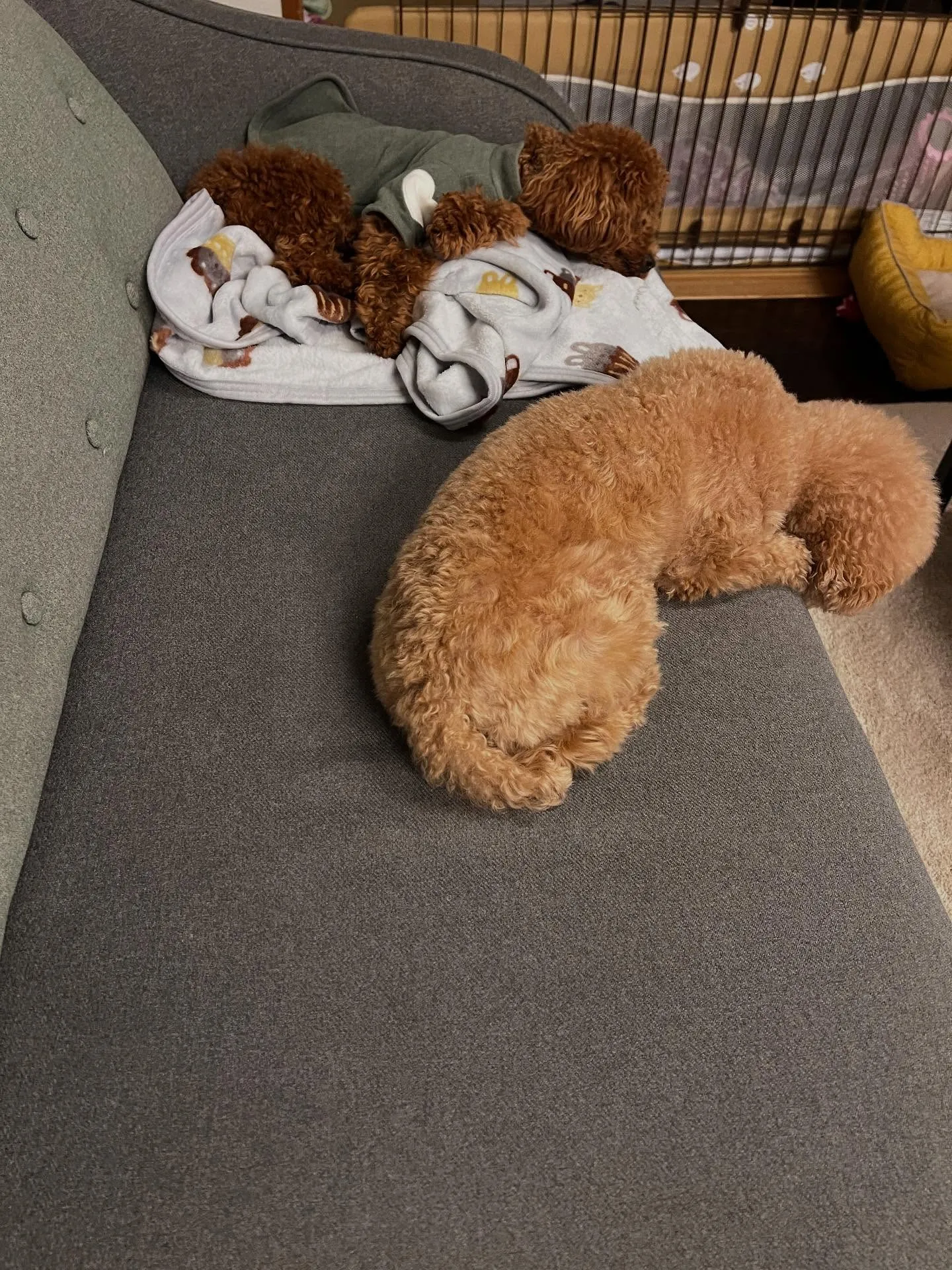 仙台市でエアコン職人になる道、始めてみませんか？暑い夏も寒い...