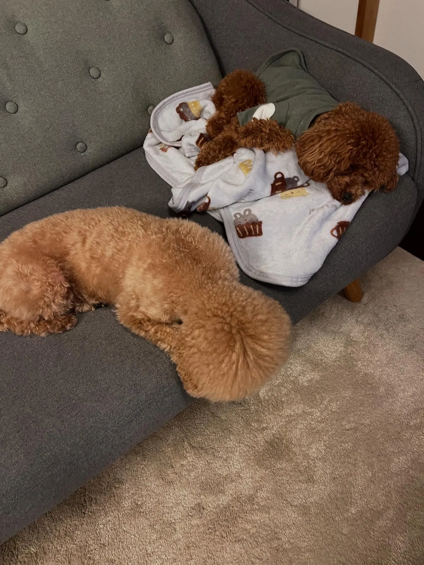 仙台市でエアコン職人になる道、始めてみませんか？暑い夏も寒い...