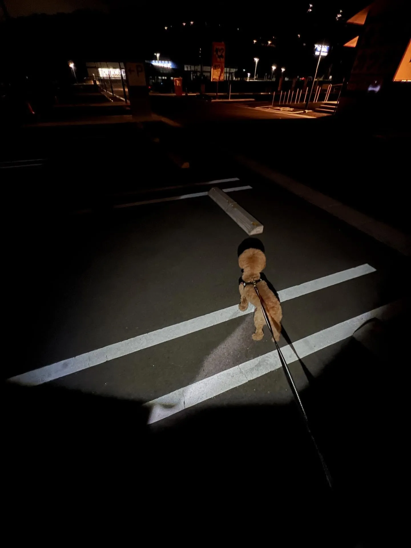 仙台で業務用エアコンのことなら、お任せあれ！新しいエアコンの...