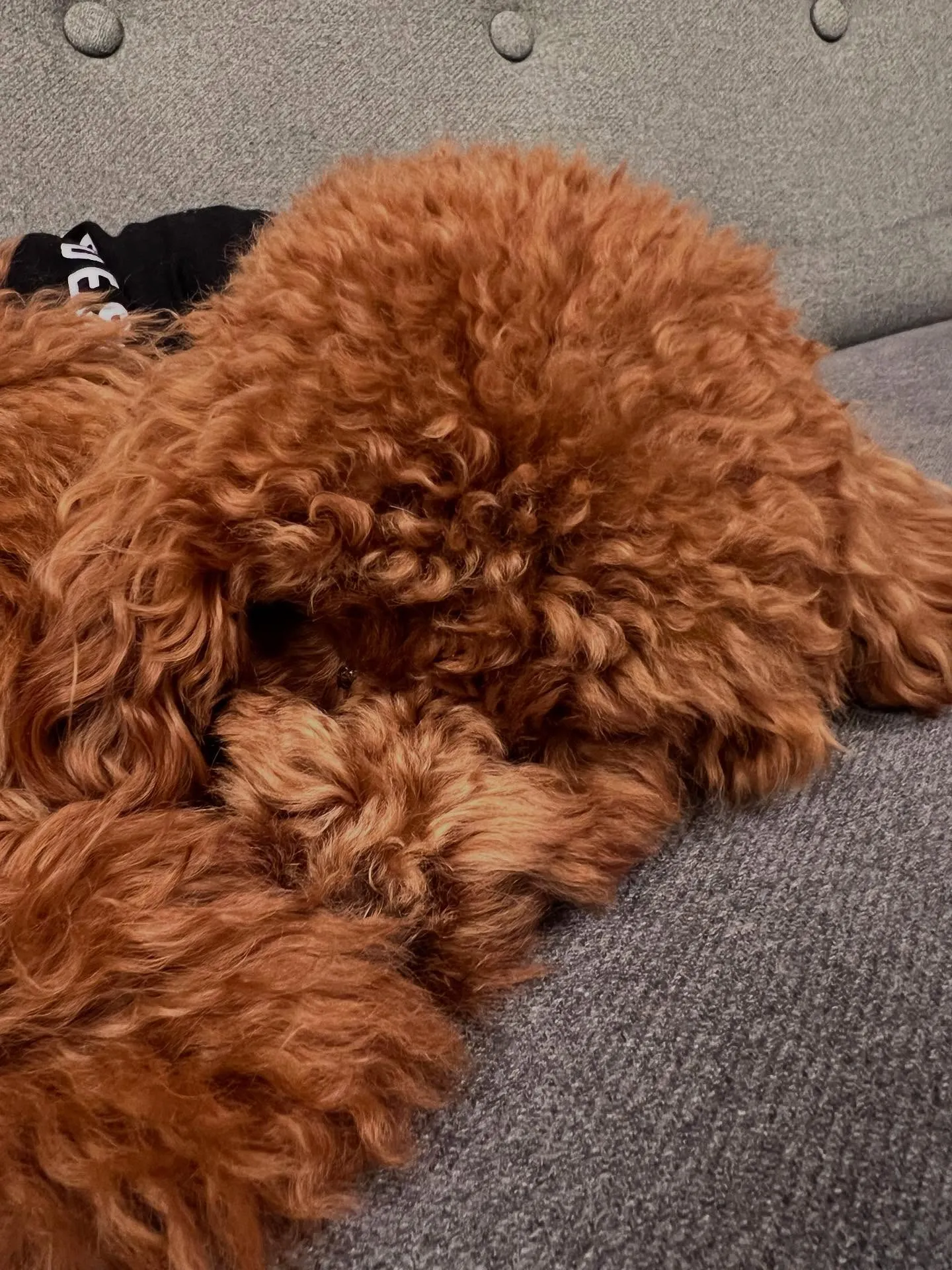 仙台でエアコンメンテナンスや修理のプロフェッショナルを目指す...