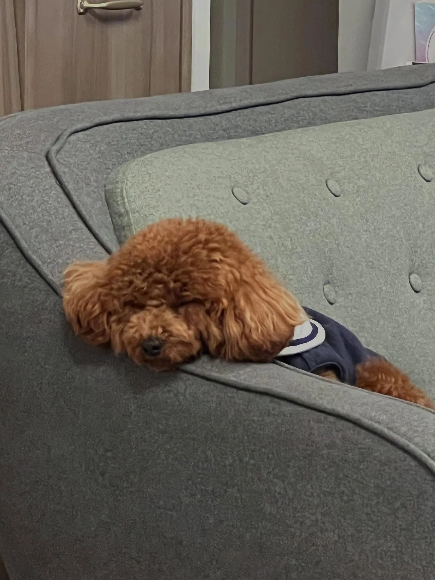 仙台でエアコンメンテナンスや修理のプロフェッショナルを目指す...