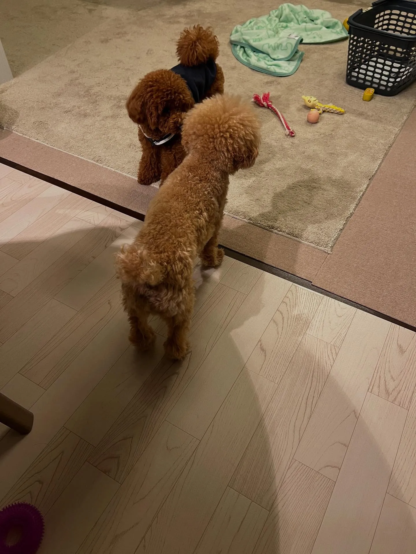 仙台でエアコンに関するお悩みを解決するナンバーワンスポットが...