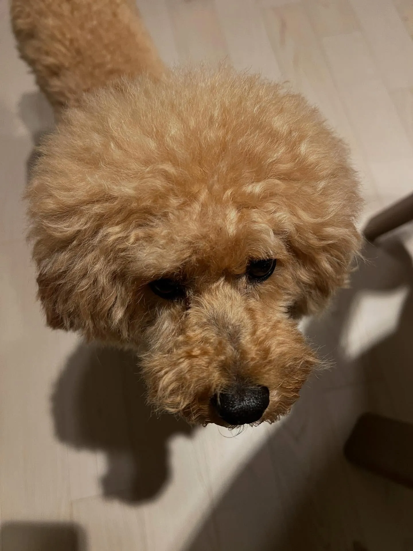 仙台でエアコンに関するお悩みを解決するナンバーワンスポットが...