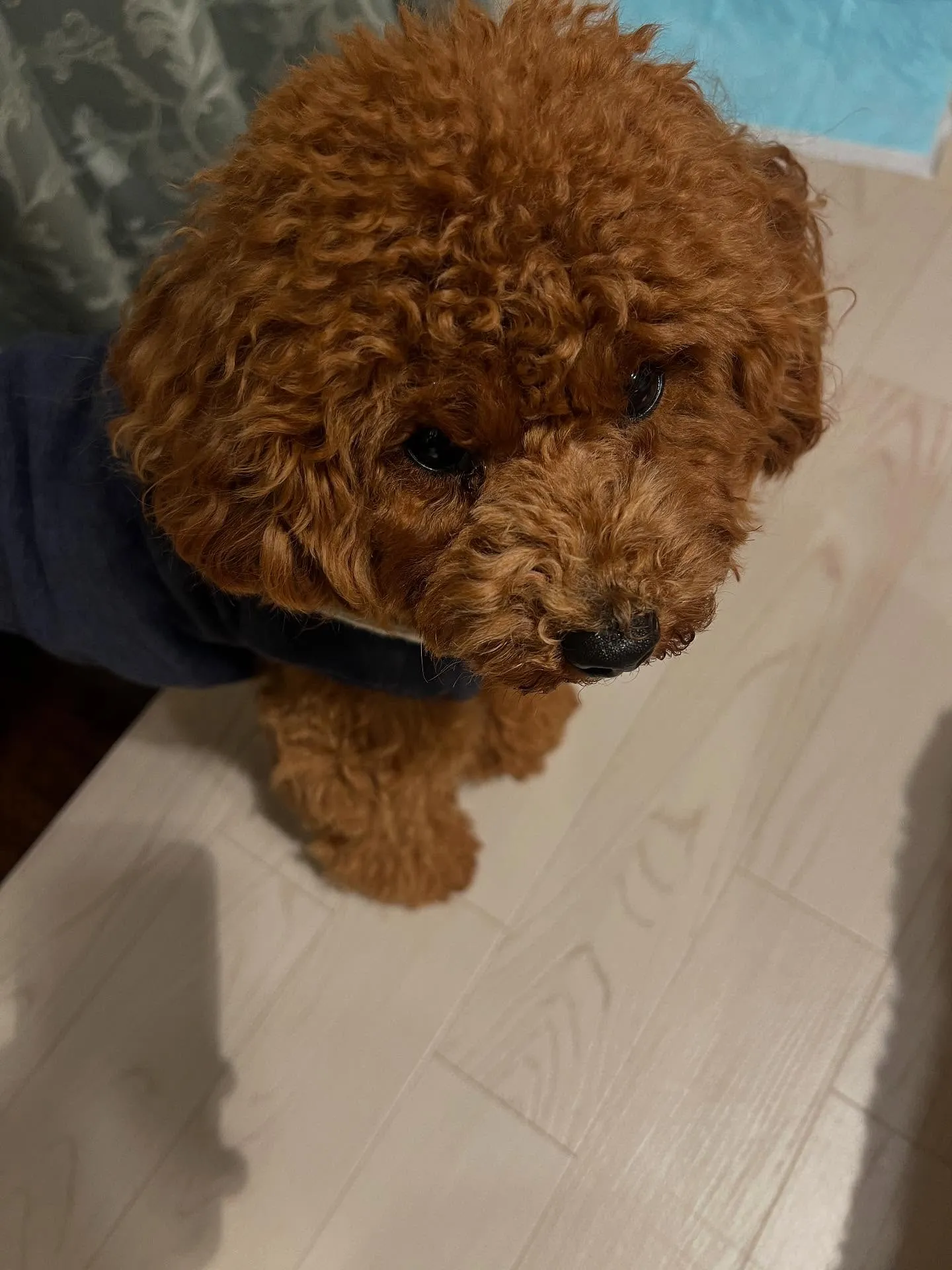 仙台でエアコンに関するお悩みを解決するナンバーワンスポットが...