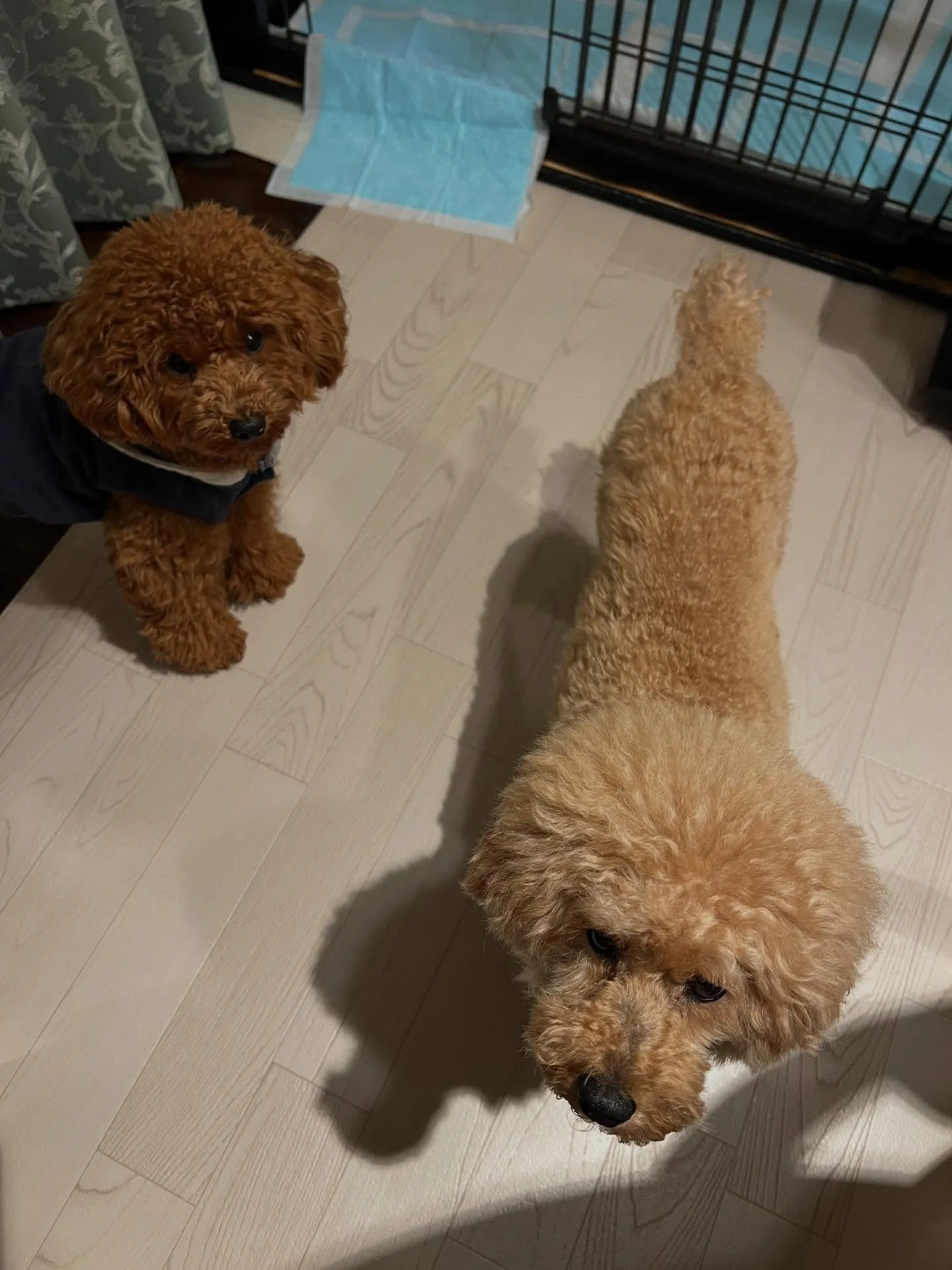 仙台でエアコンに関するお悩みを解決するナンバーワンスポットが...