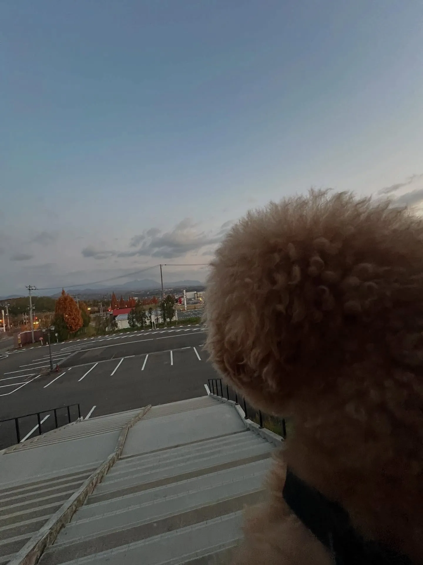 仙台の皆さん、こんにちは!⛄️冬の準備は順調ですか?❄️エア...