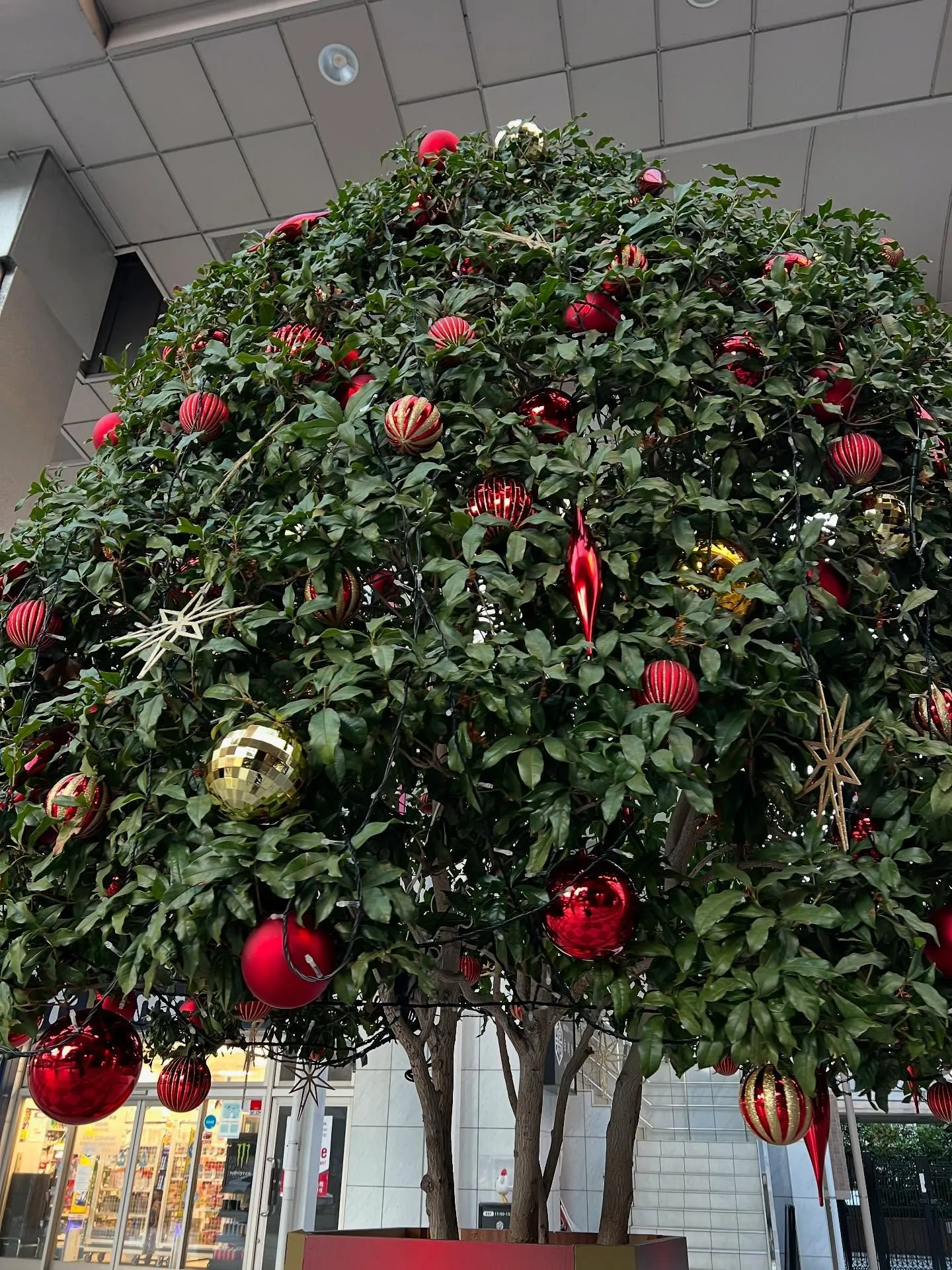 仙台の皆さん、こんにちは!⛄️冬の準備は順調ですか?❄️エア...