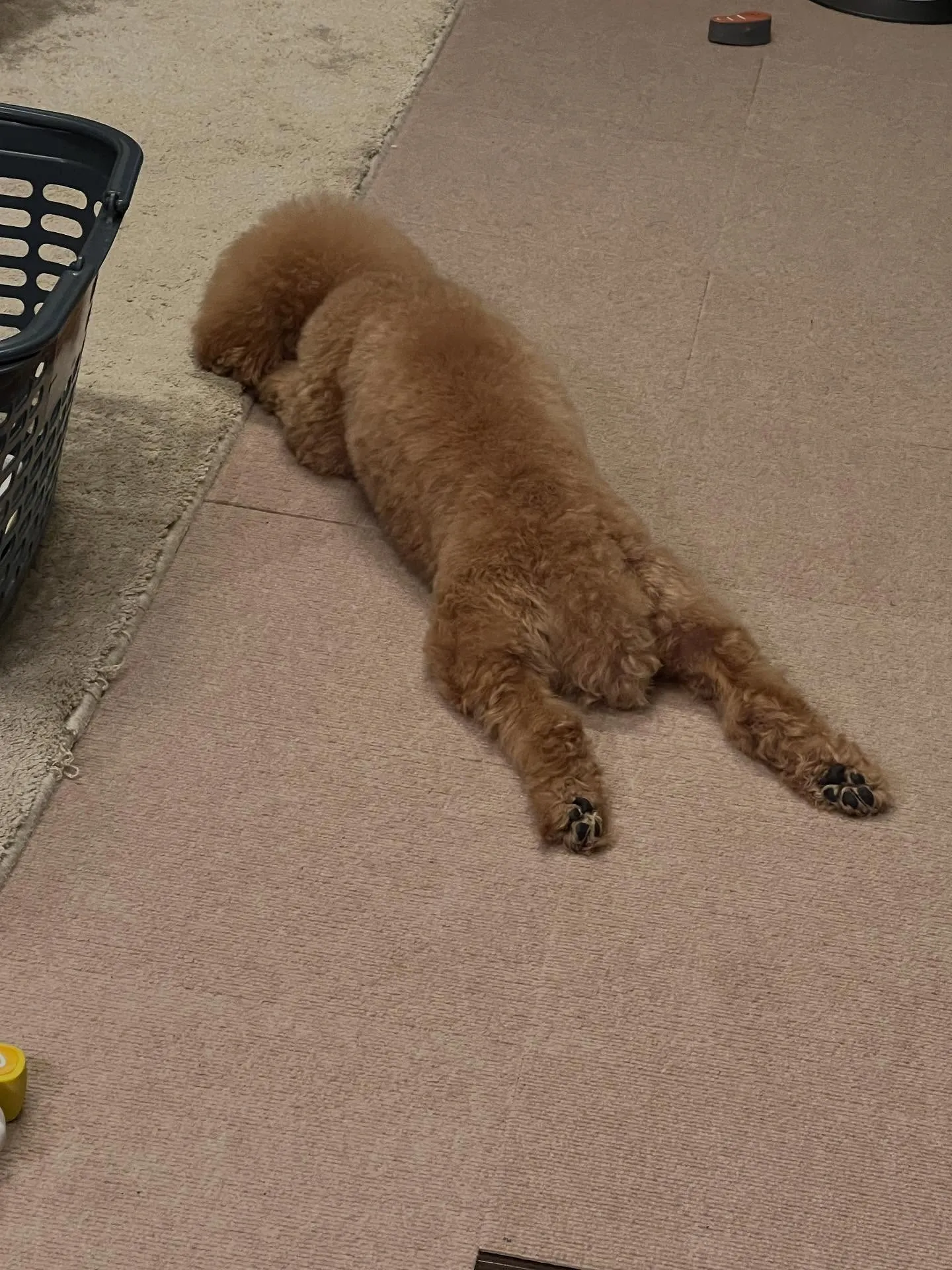 仙台市でのエアコン工事に関するお悩みなら、ぜひ私たちにお任せ...