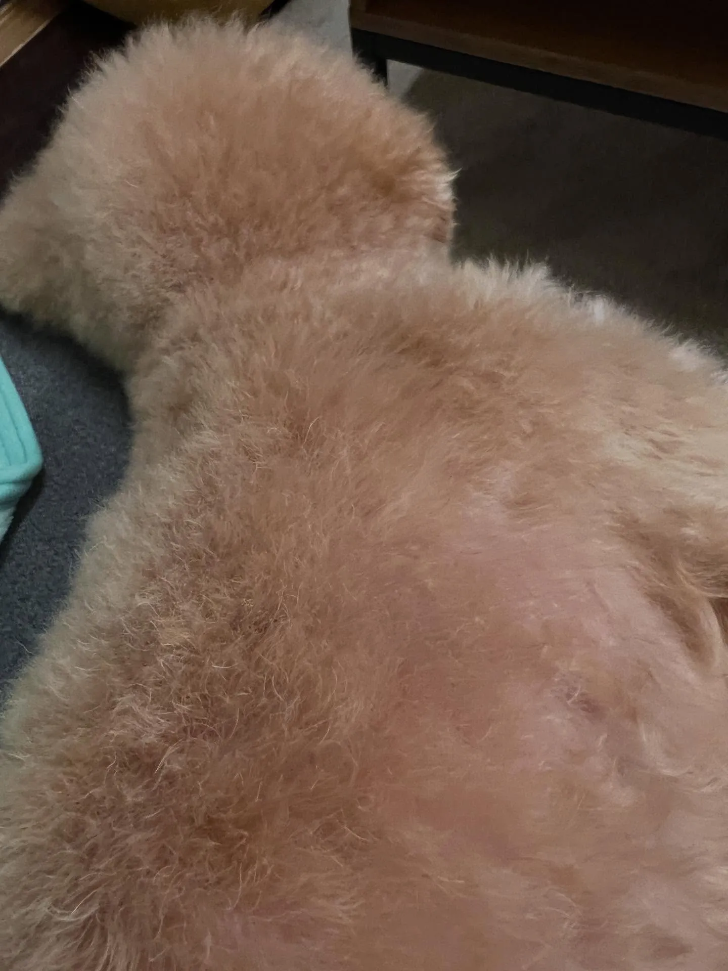 仙台市でのエアコン工事に関するお悩みなら、ぜひ私たちにお任せ...