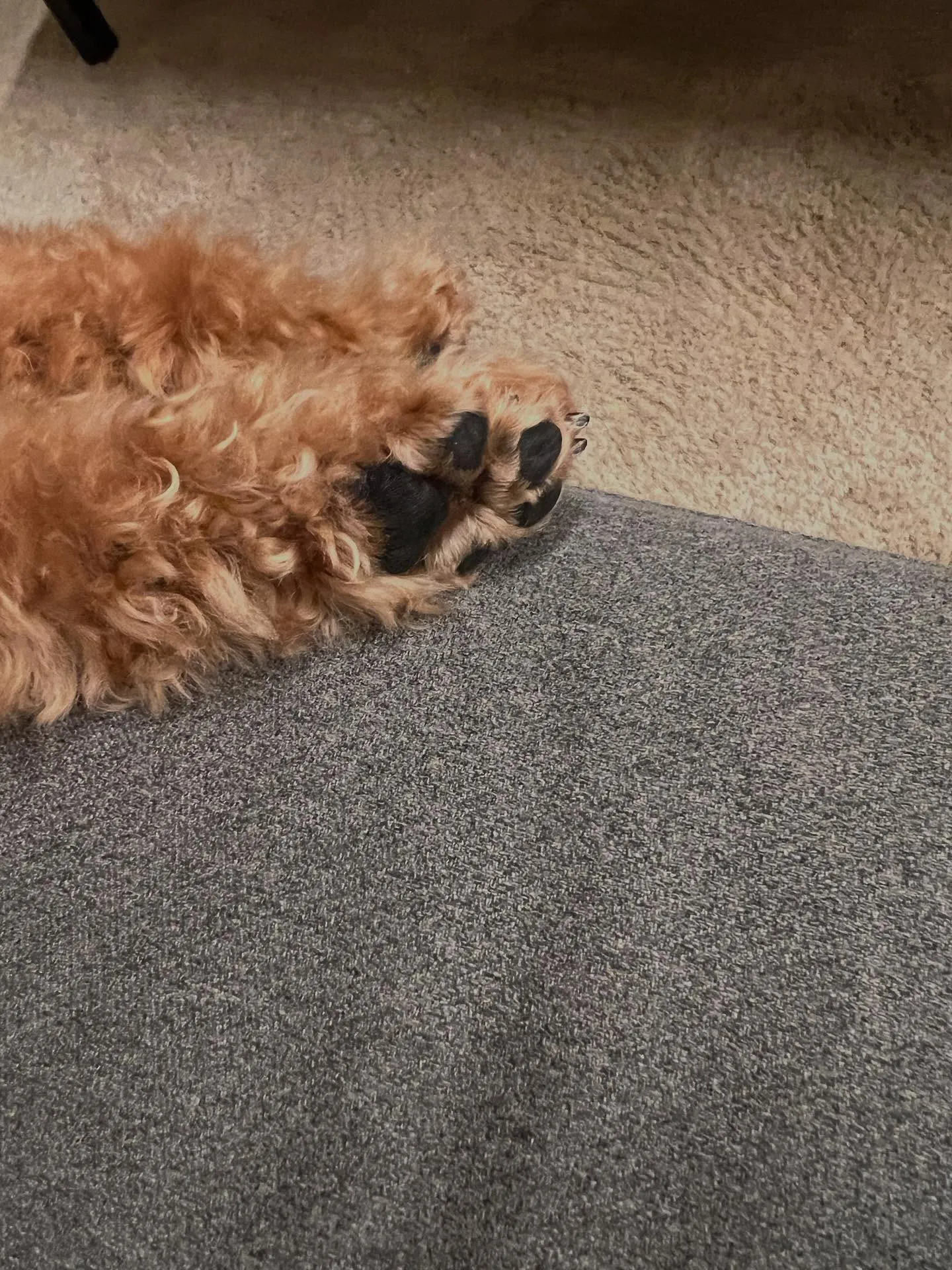 仙台市でのエアコン工事に関するお悩みなら、ぜひ私たちにお任せ...