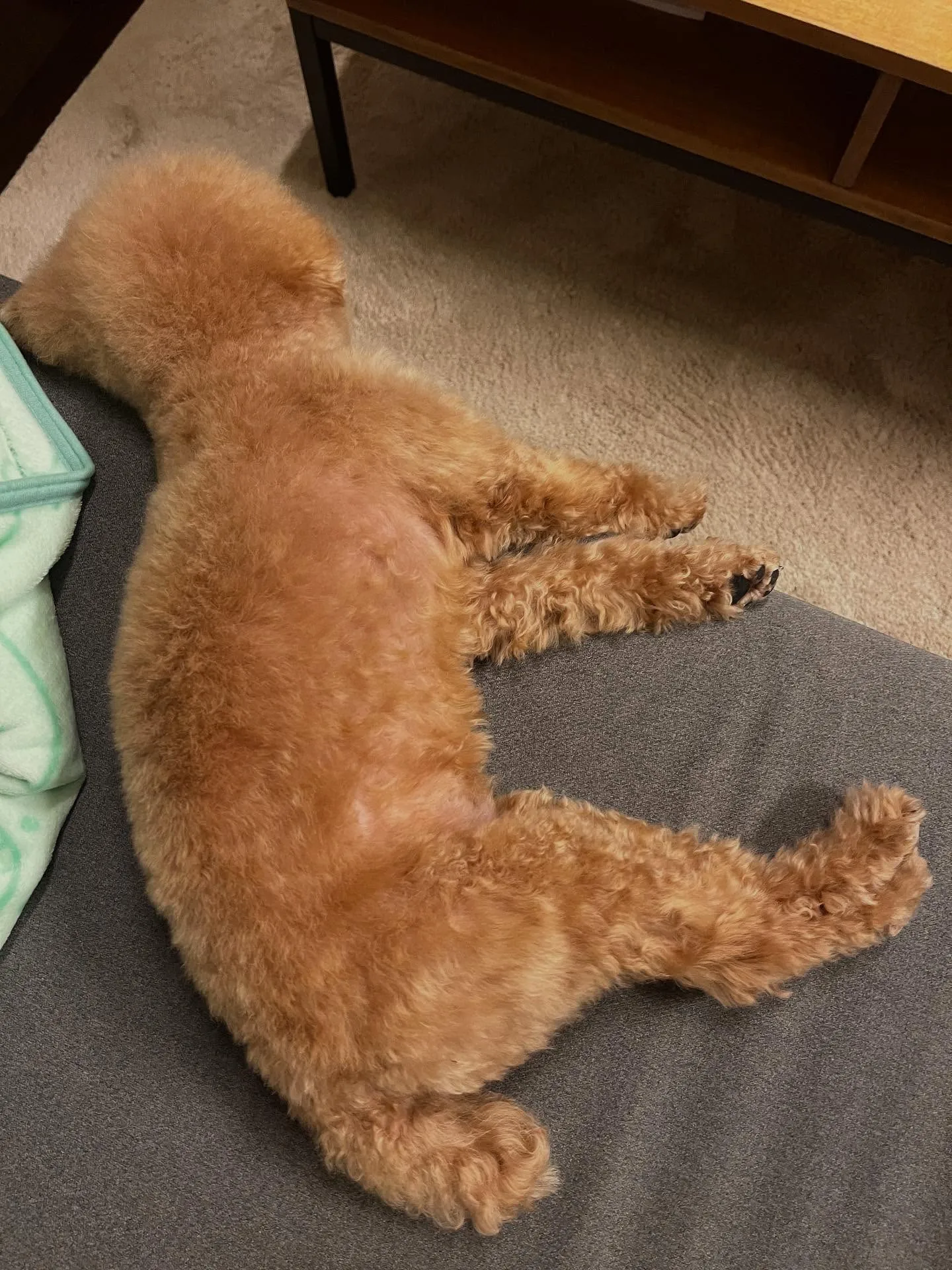 仙台市でのエアコン工事に関するお悩みなら、ぜひ私たちにお任せ...