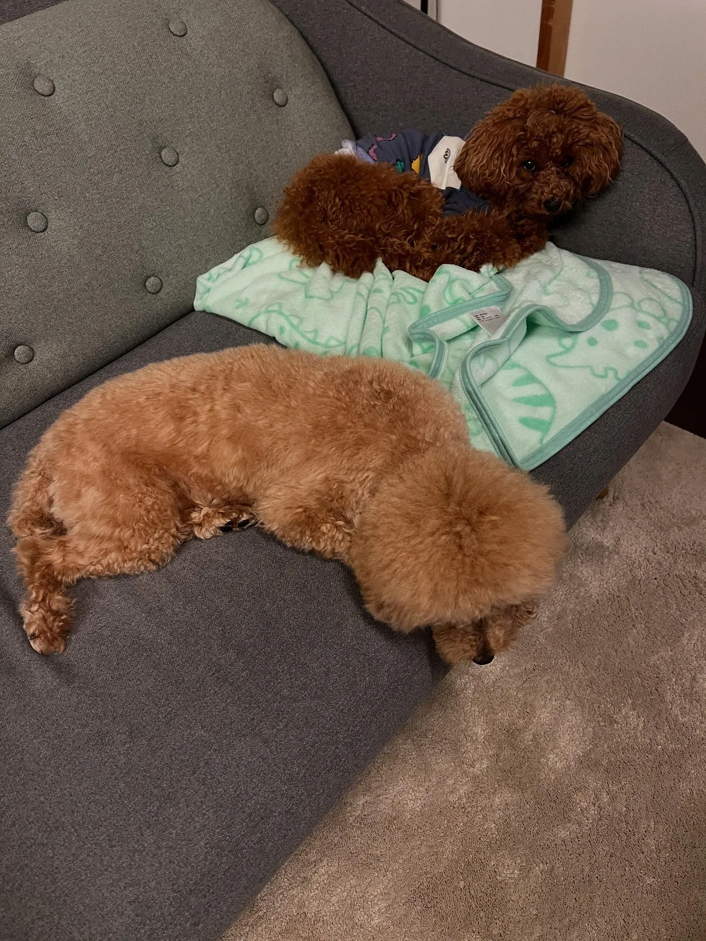 🌟こんにちは、皆さん!仙台で中古品買取販売をスタートしました...