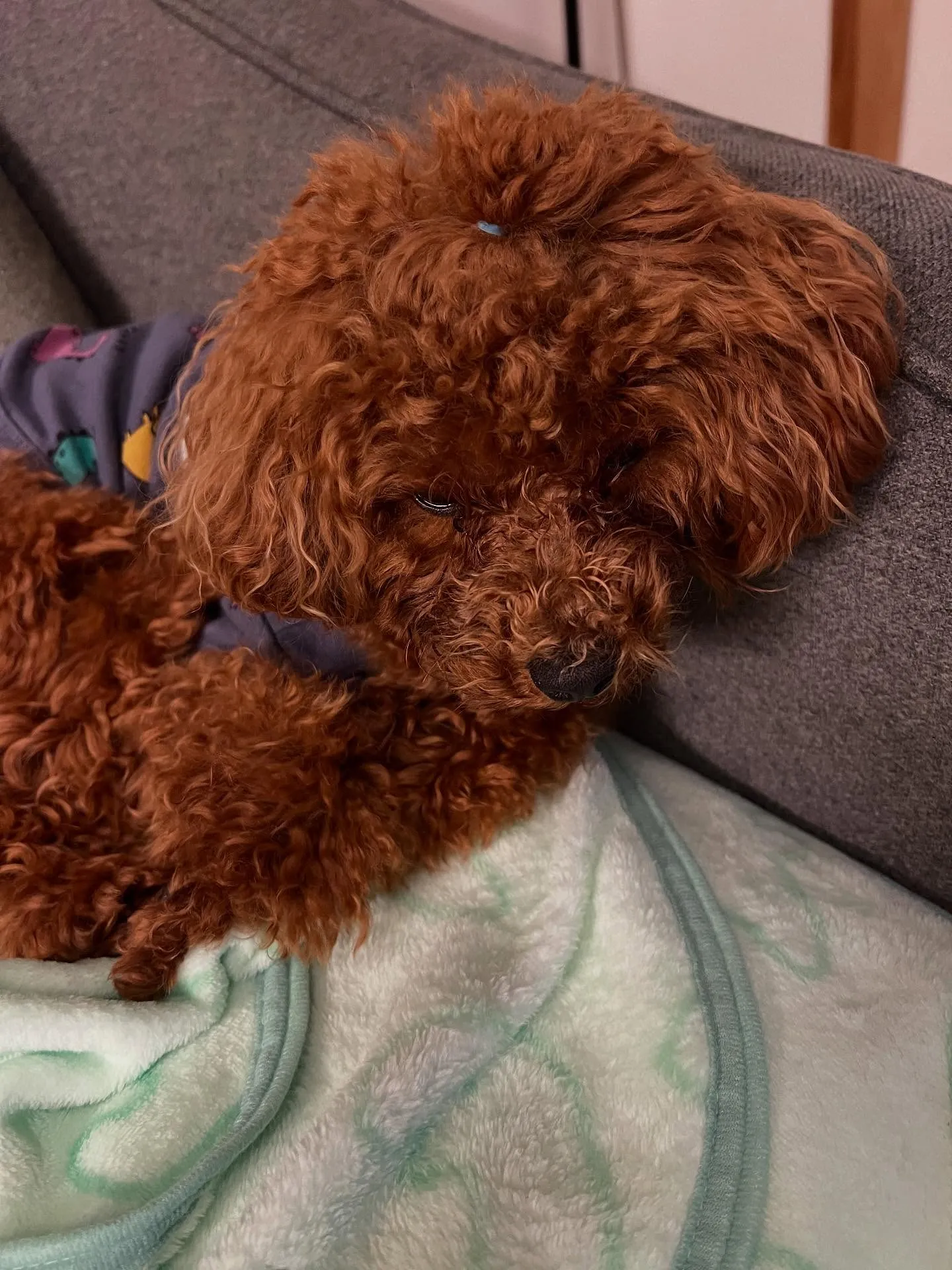 🌟こんにちは、皆さん!仙台で中古品買取販売をスタートしました...