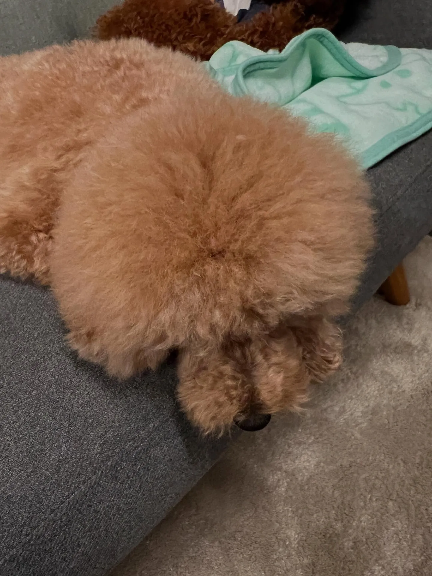 🌟こんにちは、皆さん!仙台で中古品買取販売をスタートしました...