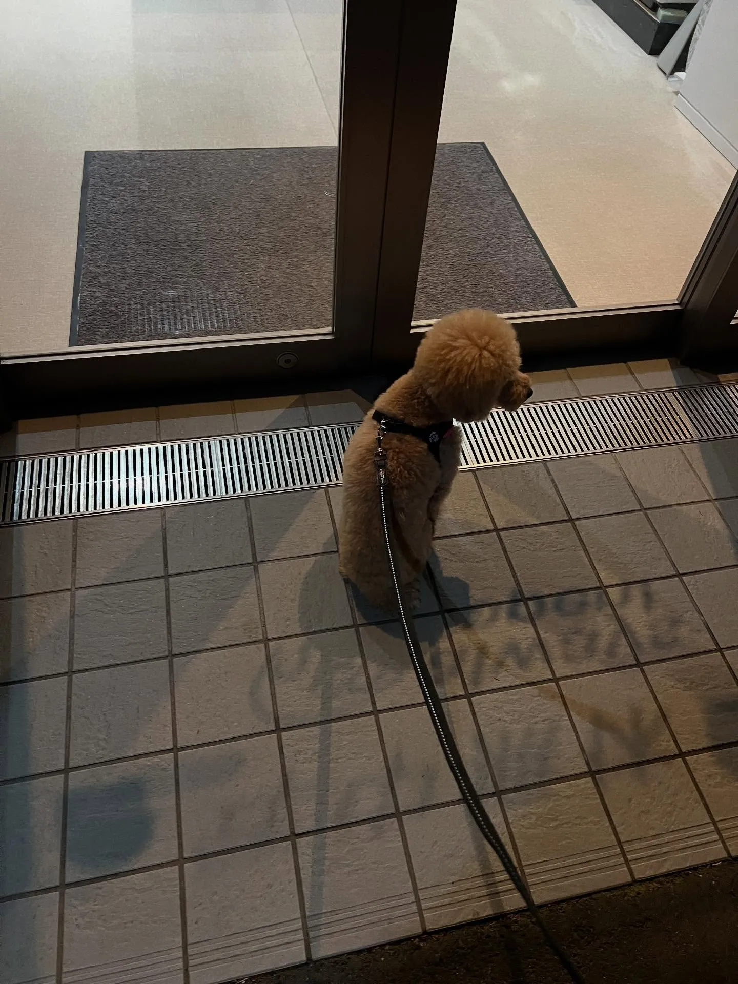 仙台の皆さまに朗報です🎉！エアコンのお困りごとは「仙台エアコ...