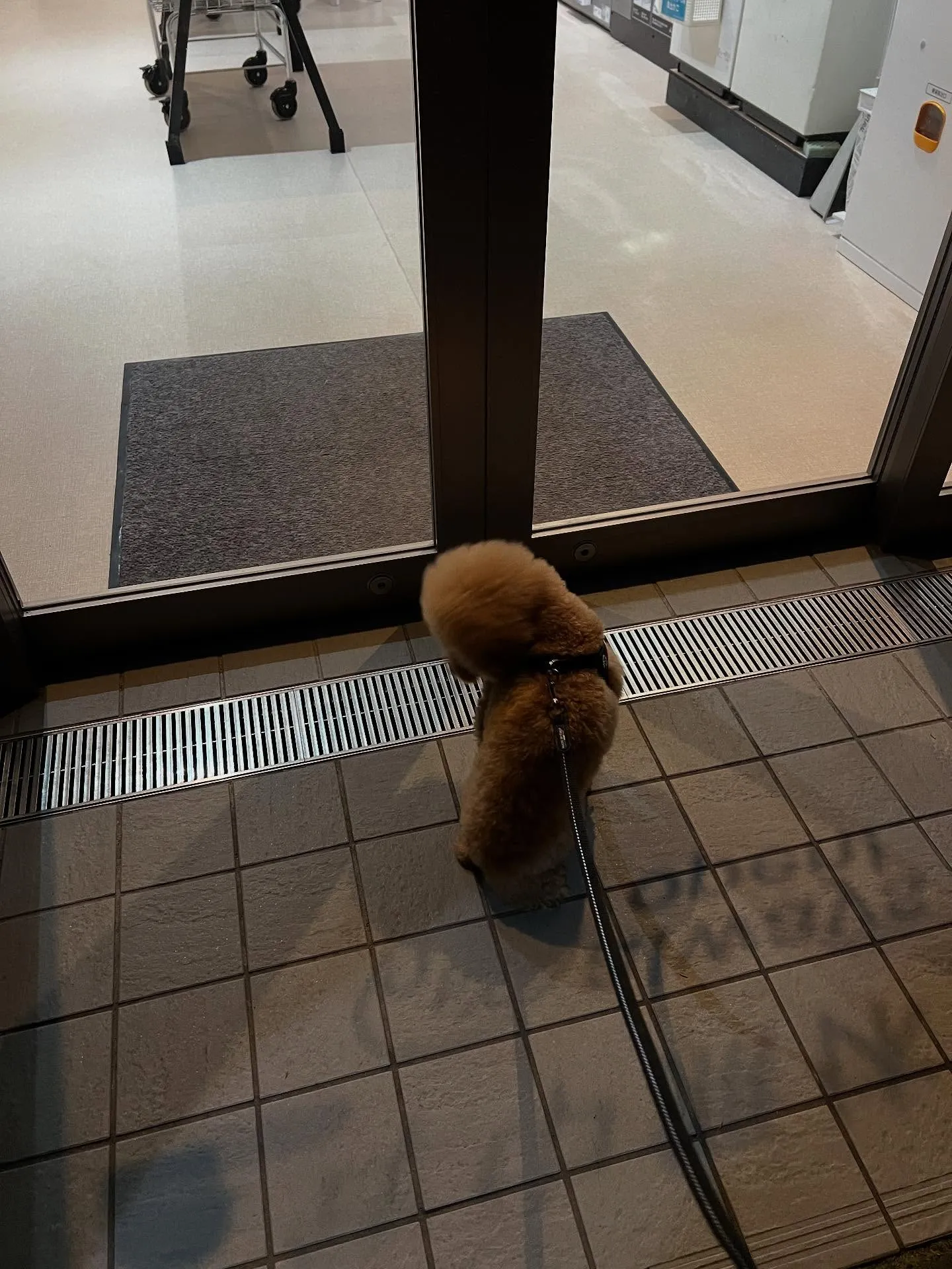 仙台の皆さまに朗報です🎉！エアコンのお困りごとは「仙台エアコ...