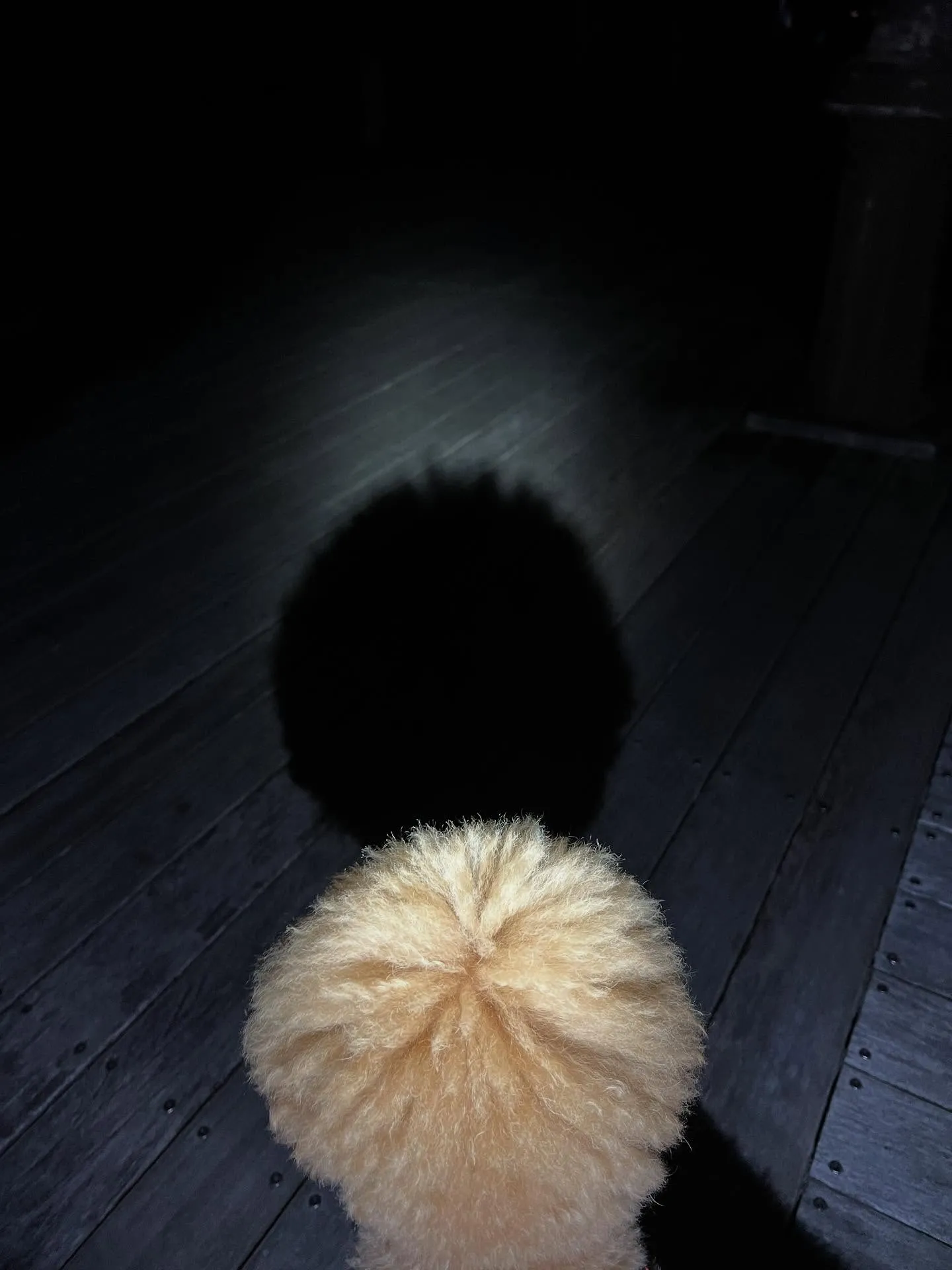 宮城県の皆さん、エアコンのお悩みはございませんか？❄️🔧 暑...