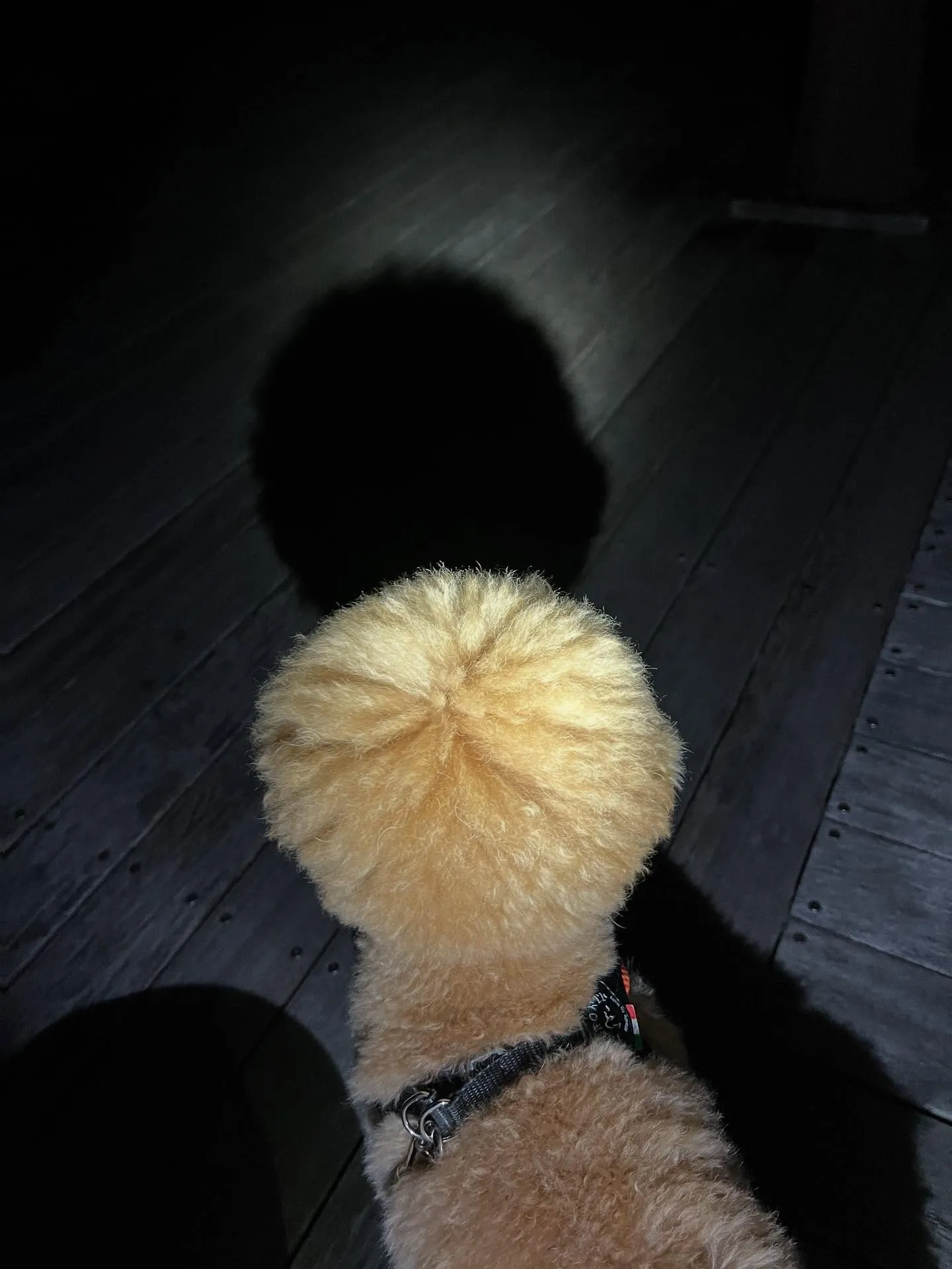 宮城県の皆さん、エアコンのお悩みはございませんか？❄️🔧 暑...