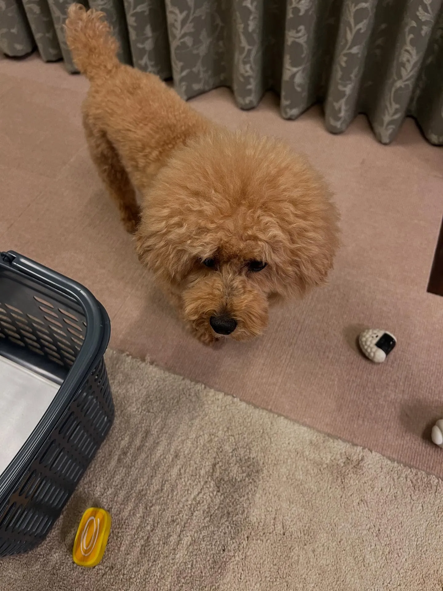 宮城県の皆さん、エアコンのお悩みはございませんか？❄️🔧 暑...