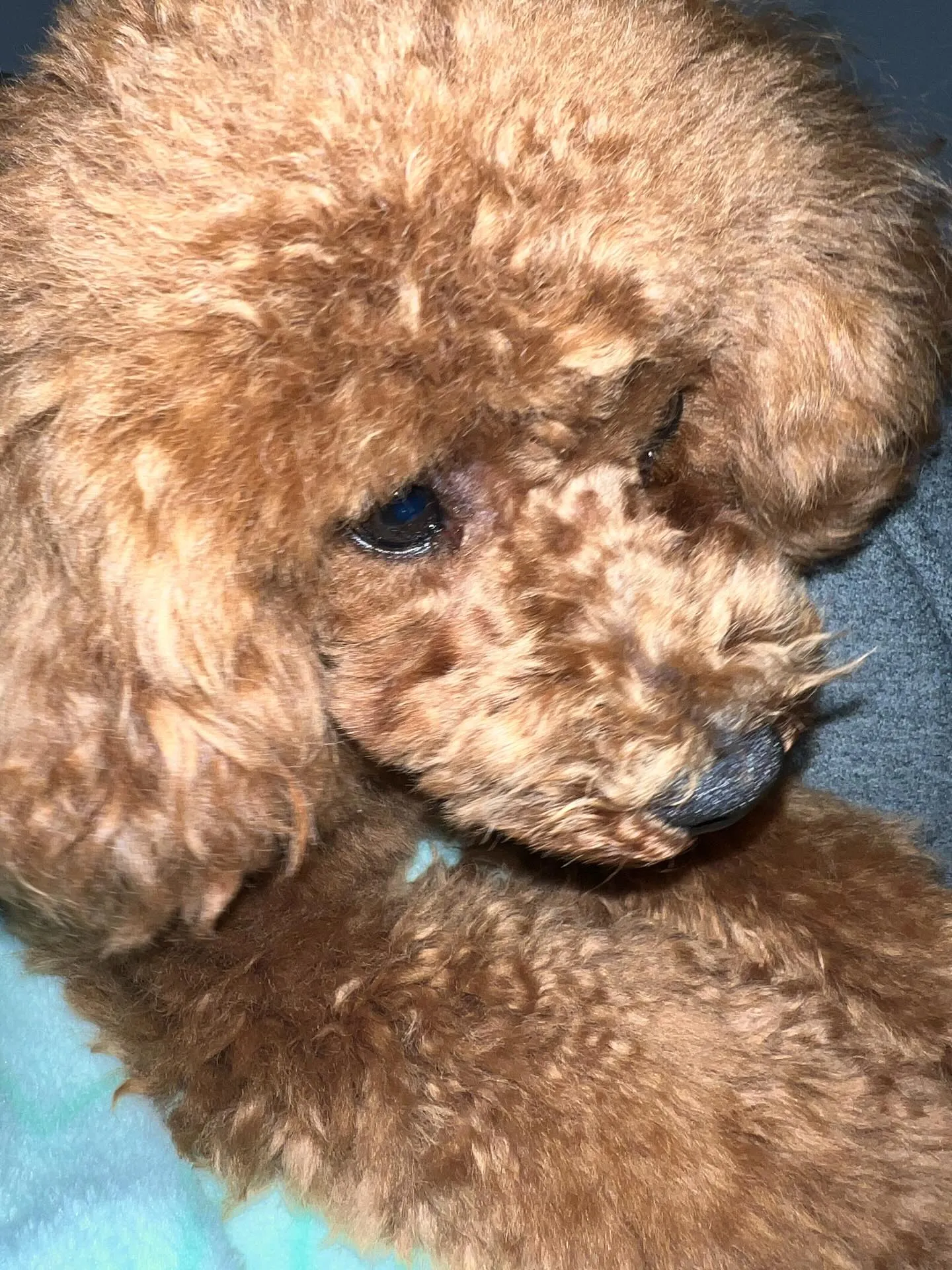 仙台業務用エアコン何でも相談所へようこそ!🌟 エアコンの修理...