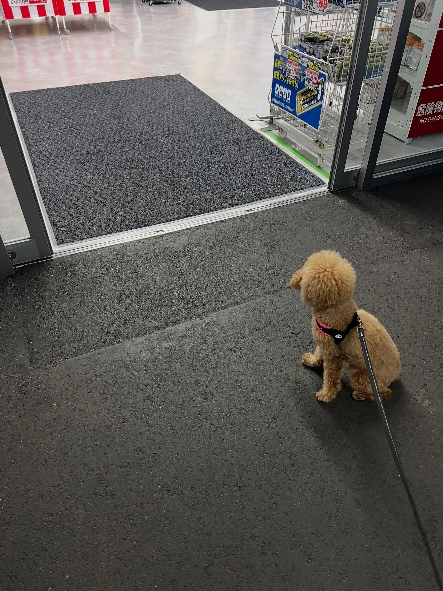 仙台業務用エアコン何でも相談所へようこそ!🌟 エアコンの修理...