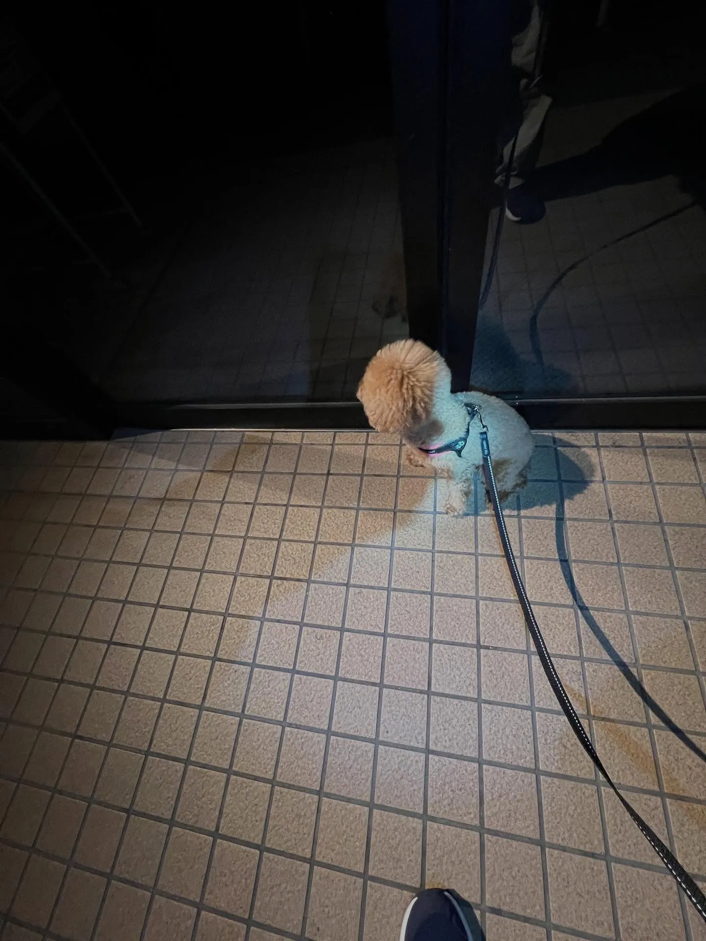 仙台業務用エアコン何でも相談所へようこそ!🌟 エアコンの修理...