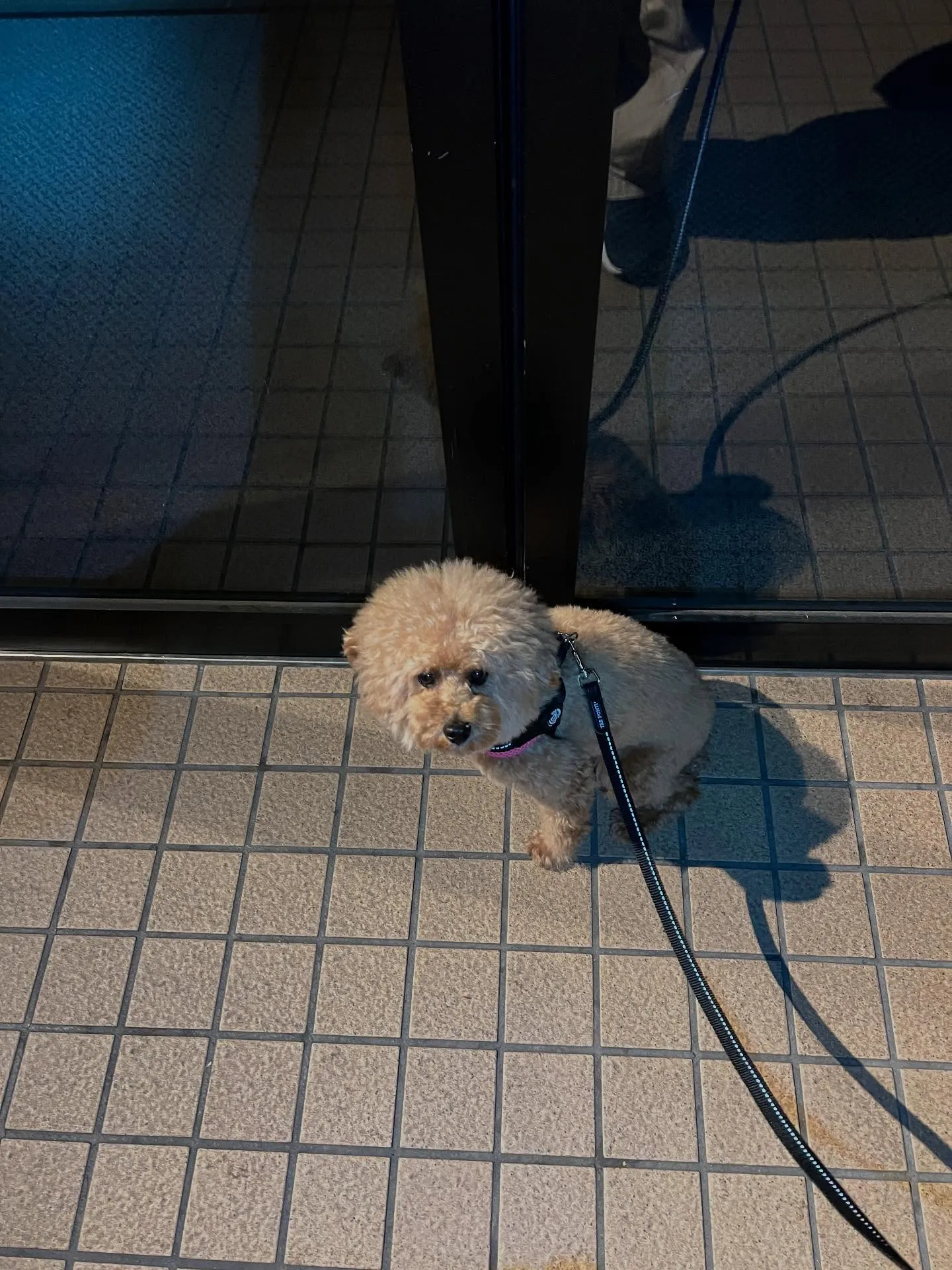 仙台業務用エアコン何でも相談所へようこそ!🌟 エアコンの修理...