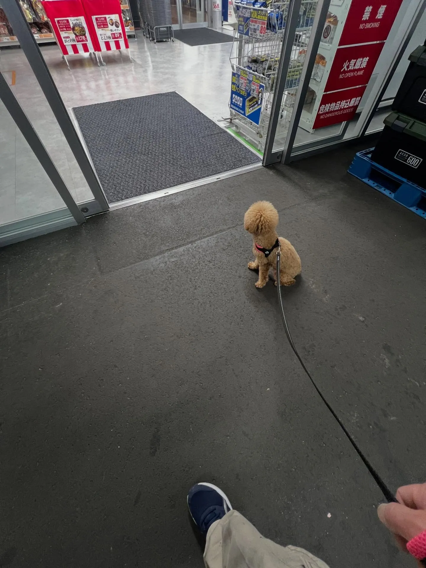 仙台業務用エアコン何でも相談所へようこそ!🌟 エアコンの修理...