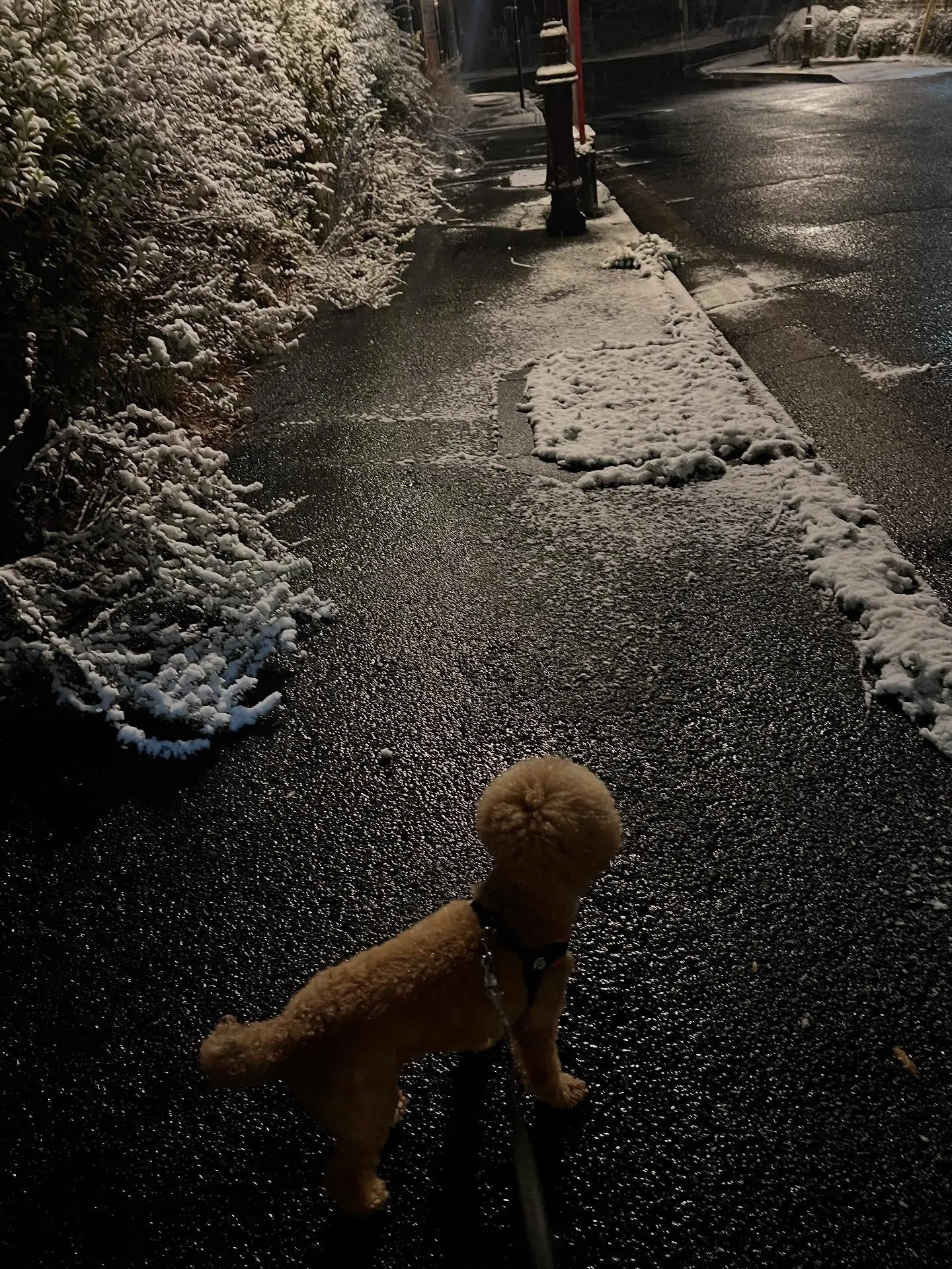 冬が来ました‼️、宮城の皆さん！寒い季節に備えてエアコンの準...